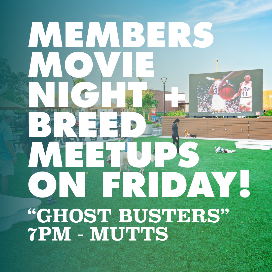 Members, Movies & Meetups: Ghostbusters