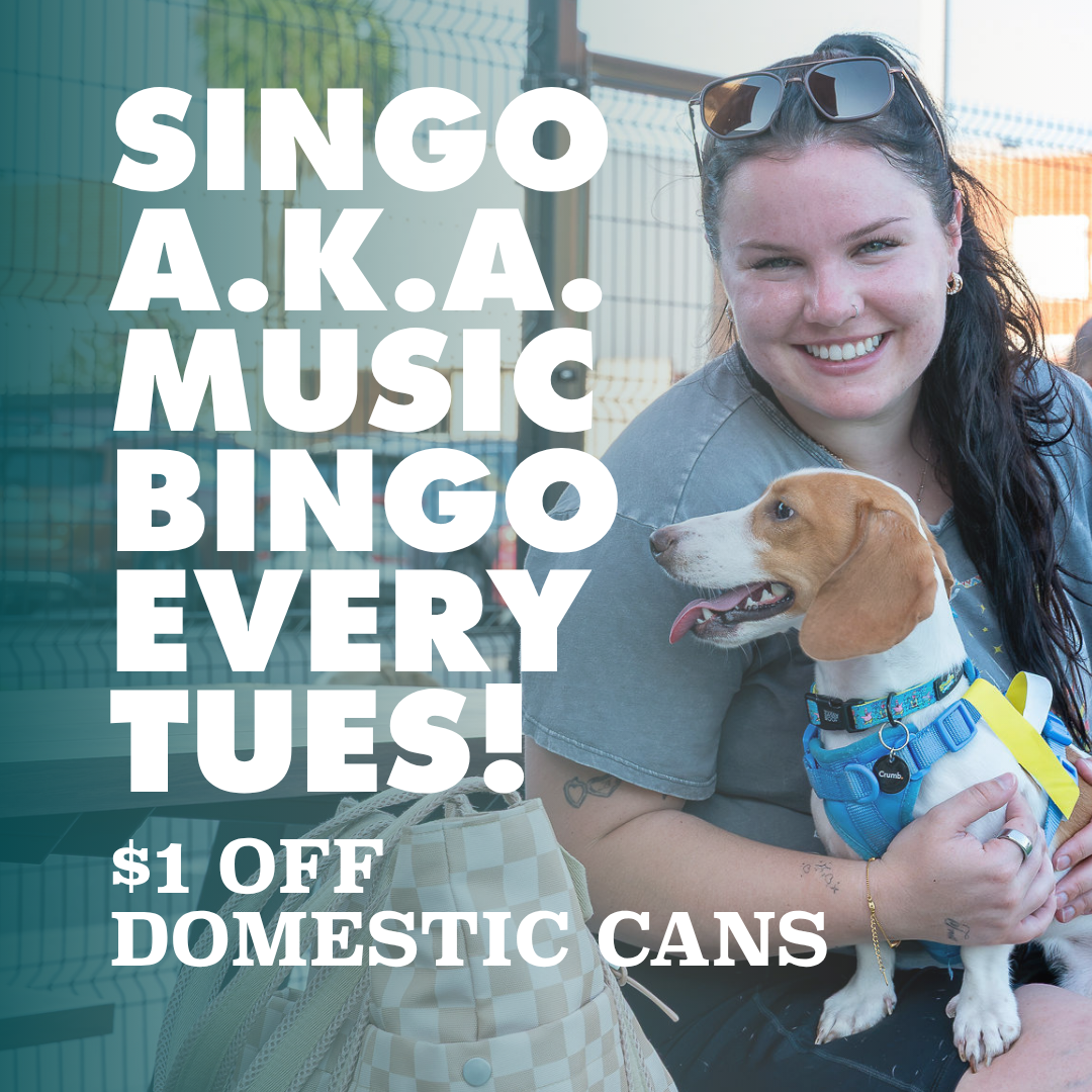 Singo - Music Bingo
