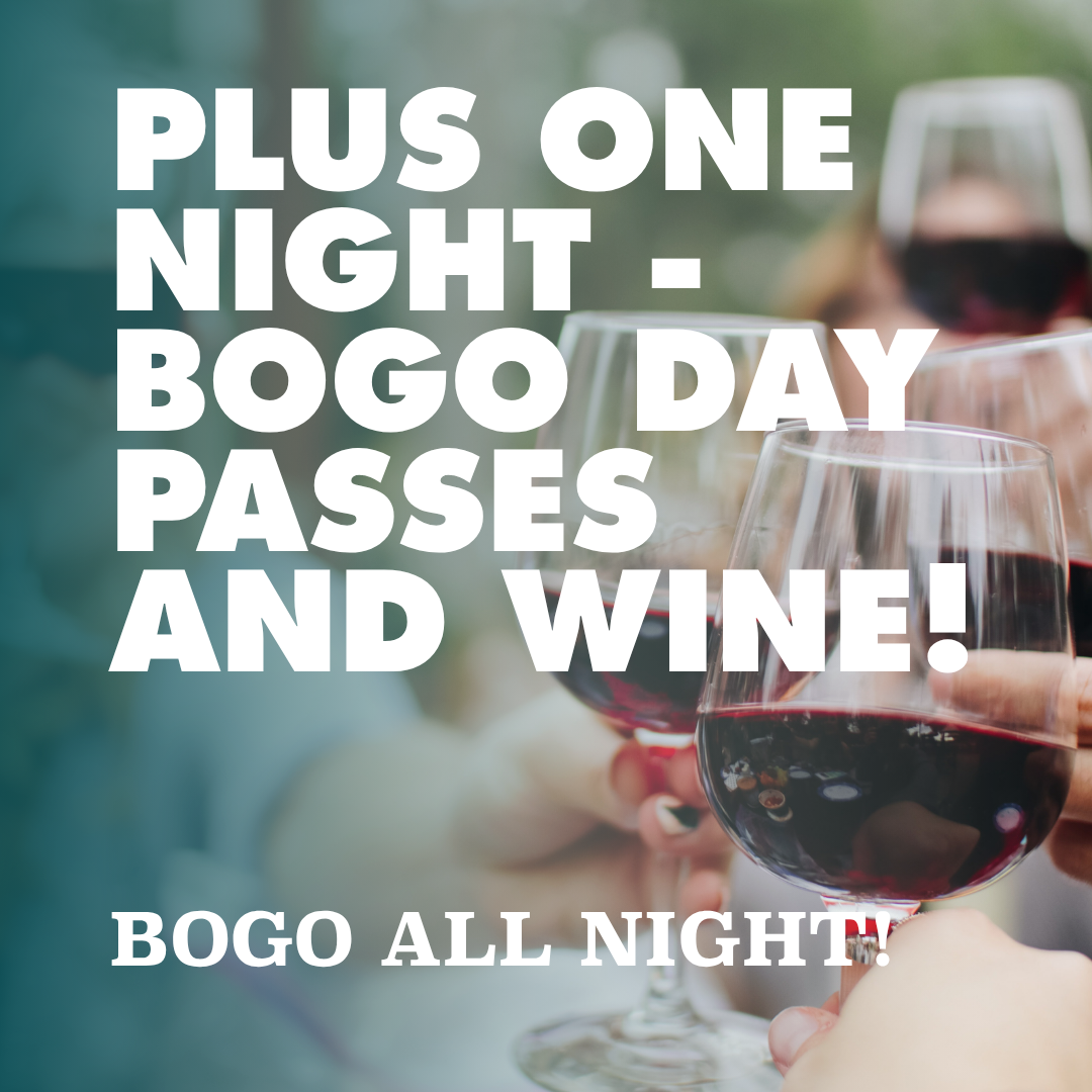 Plus One Night