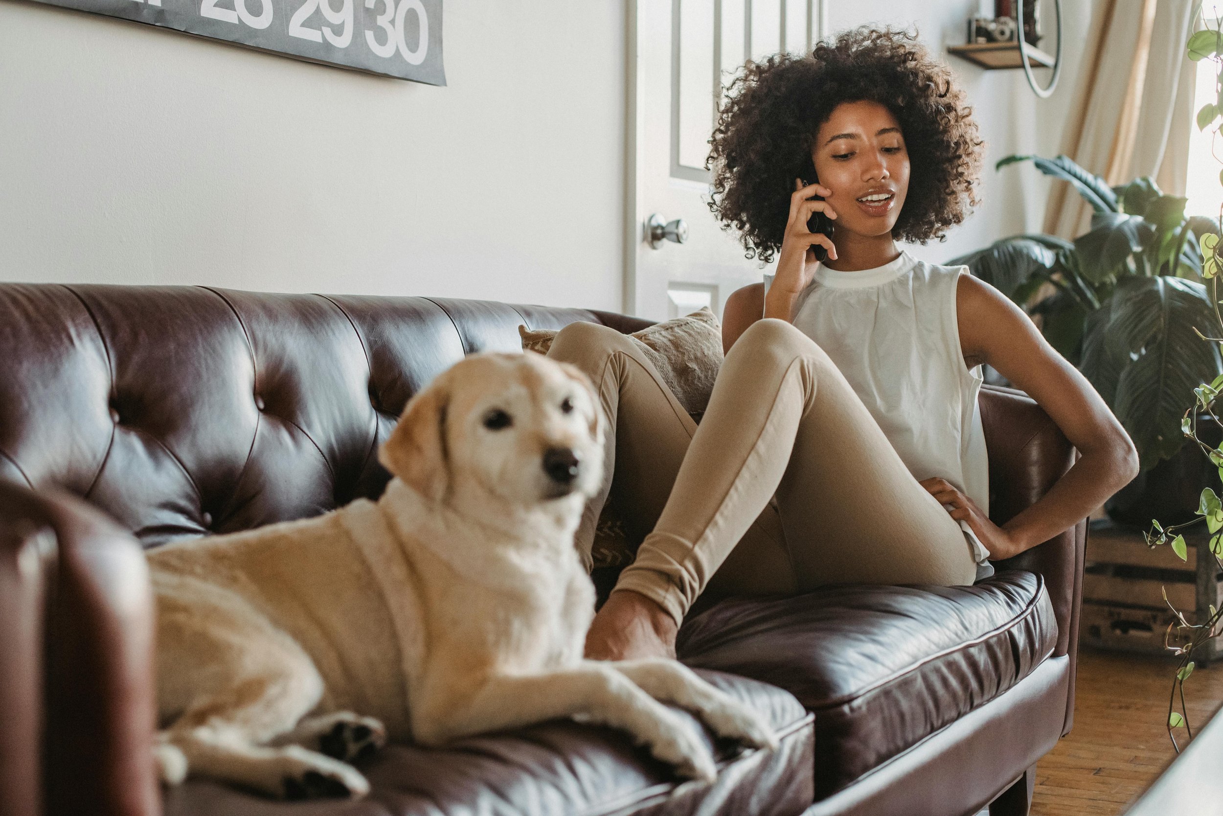 Moving with a Pet? Here’s What You Need to Know About Pet-Friendly Apartments in Nashville 🐾