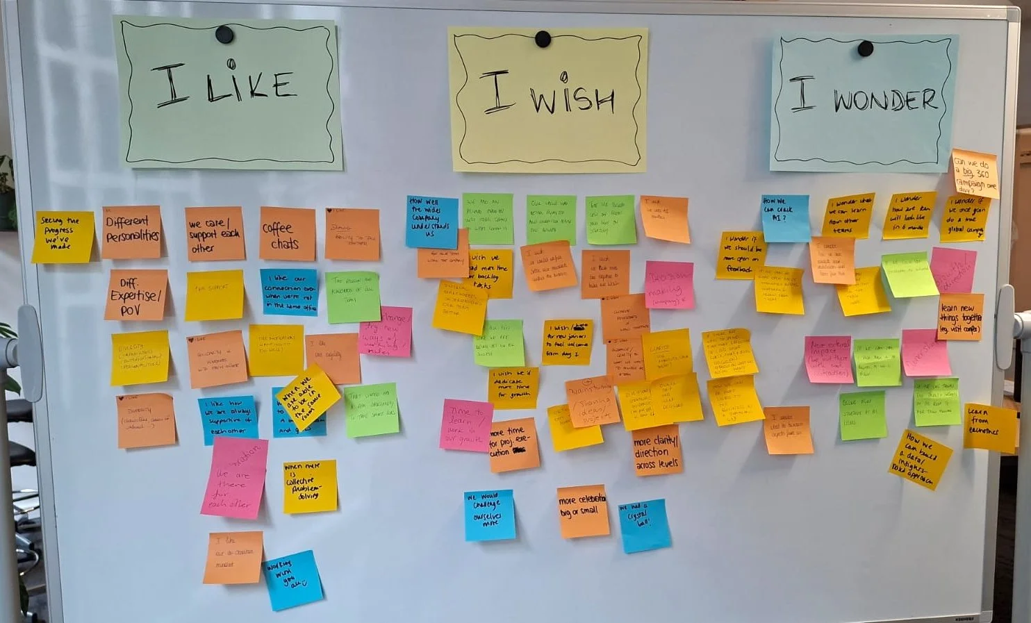 Foto website XI.jpeg