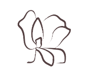 Outline of magnolia flower
