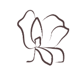 Outline of magnolia flower
