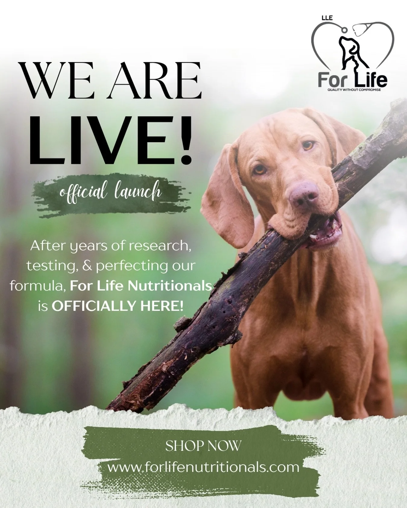 ✨ WE&rsquo;RE OFFICIALLY LIVE! ✨

After years of research, testing, and refining, we&rsquo;re beyond excited to officially introduce For Life Nutritionals. 🐾

This isn&rsquo;t just another supplement&hellip; it&rsquo;s a product we truly believe in.