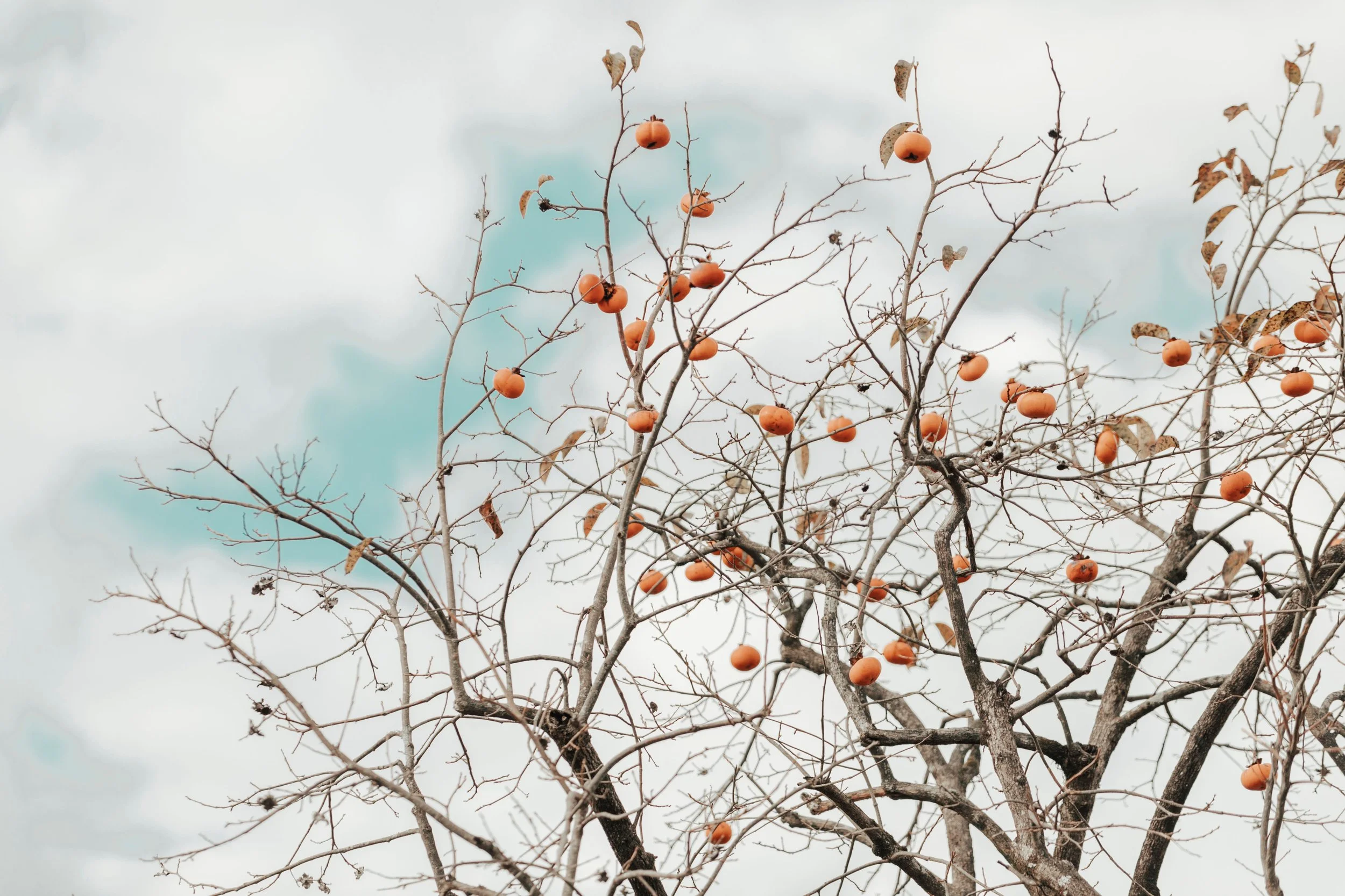 From “What-If” Fears to the “Even-If” of Christ-Centered Faith&nbsp;&nbsp;