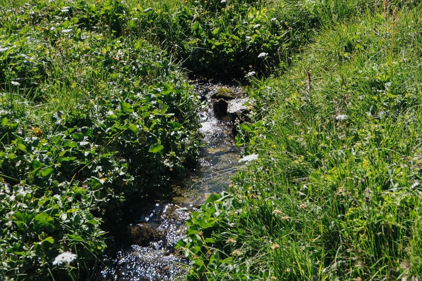 The Gift, Command, and Practice of Rest