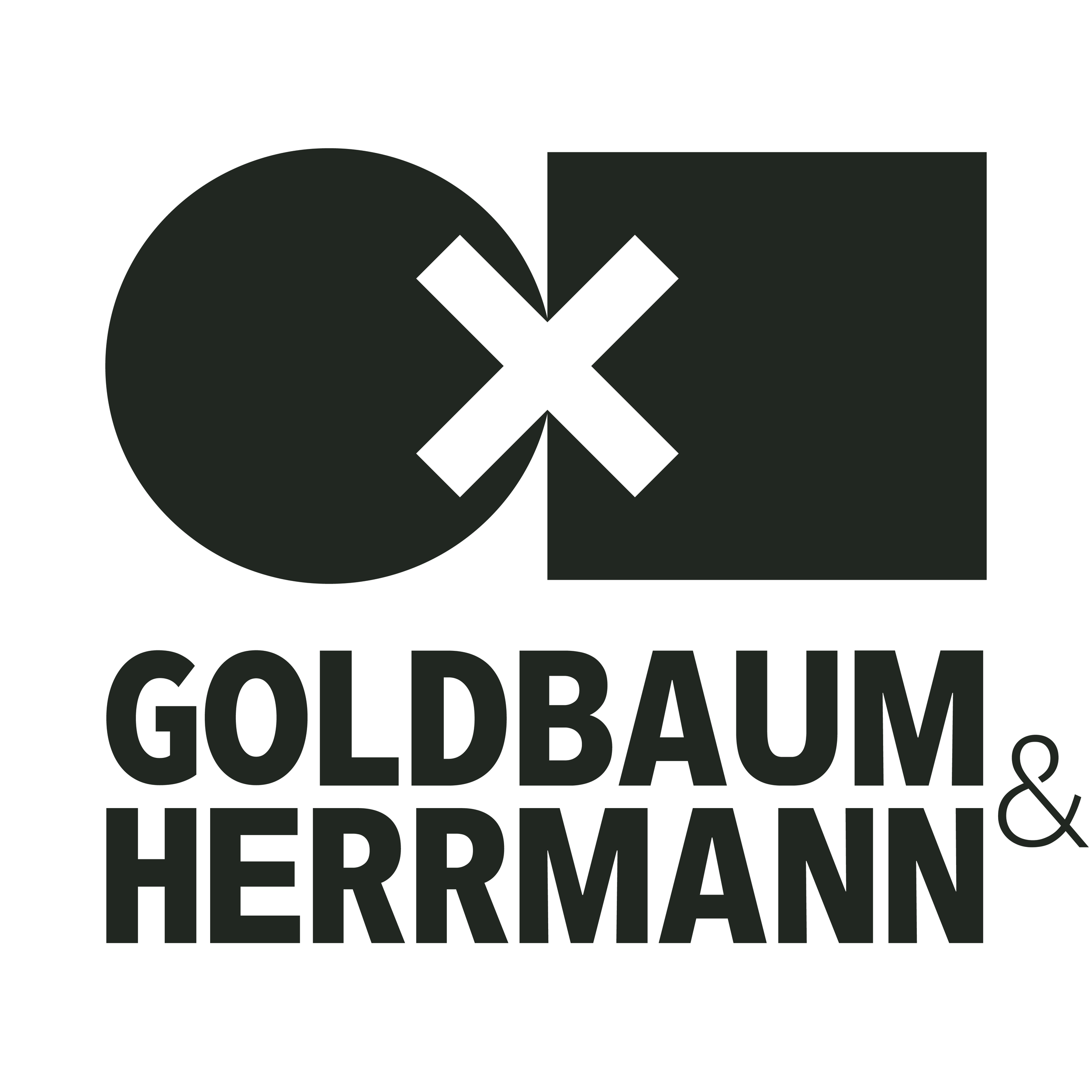 Logo featuring a circle and a square with a cross between them, with the text 'GOLDBAUM & HERRMANN' below.