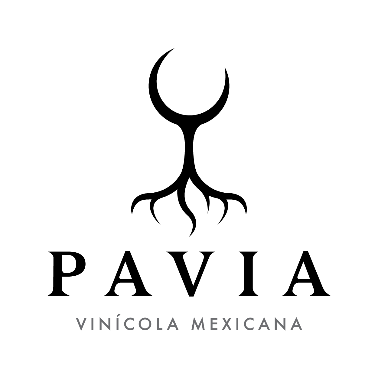 Logo for Pavia Vinícola Mexicana featuring a black stylized root and crescent-shaped symbol above the word 'PAVIA' and the phrase 'VINÍCOLA MEXICANA' beneath.