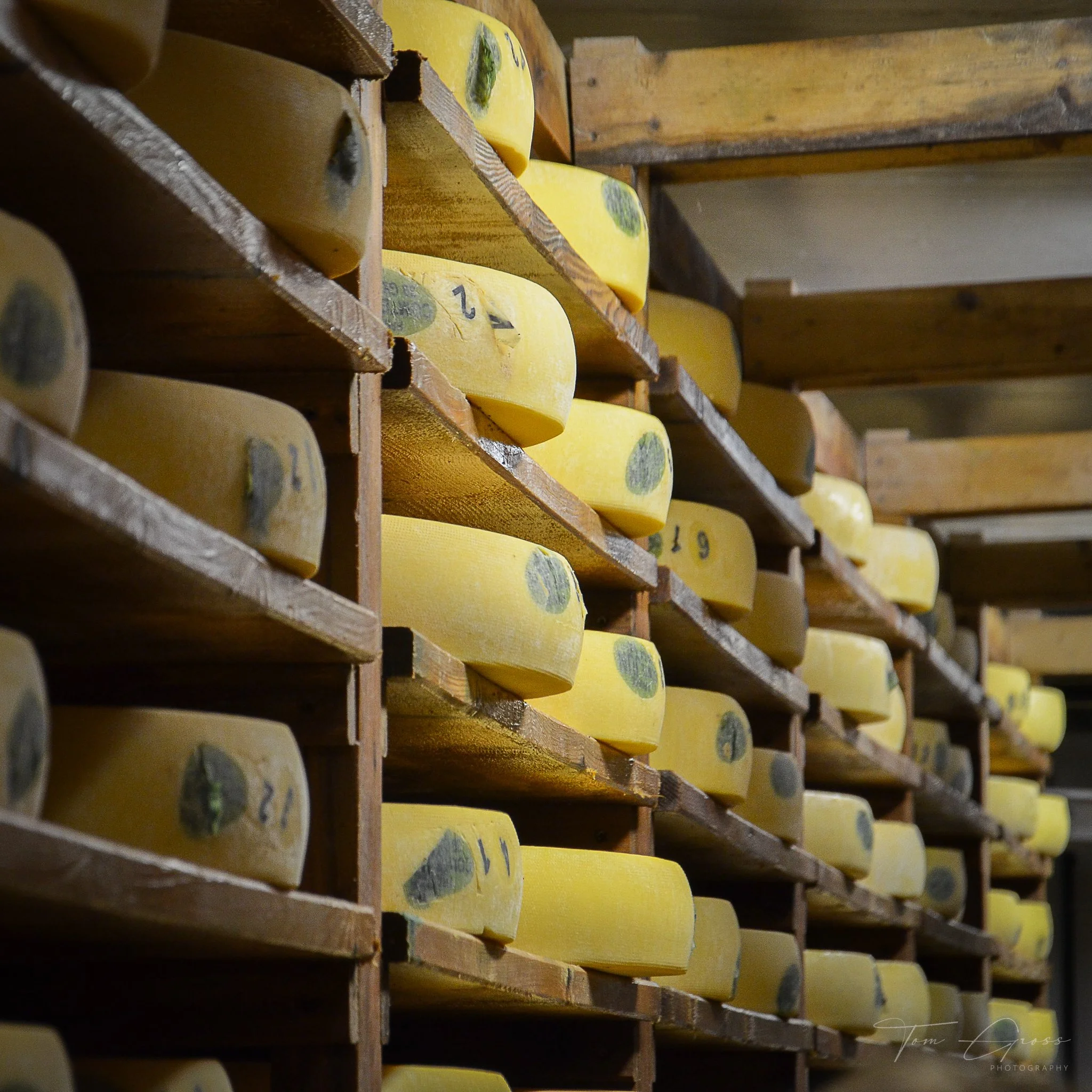 TGP40_2014 France BLF - 5458.JPG