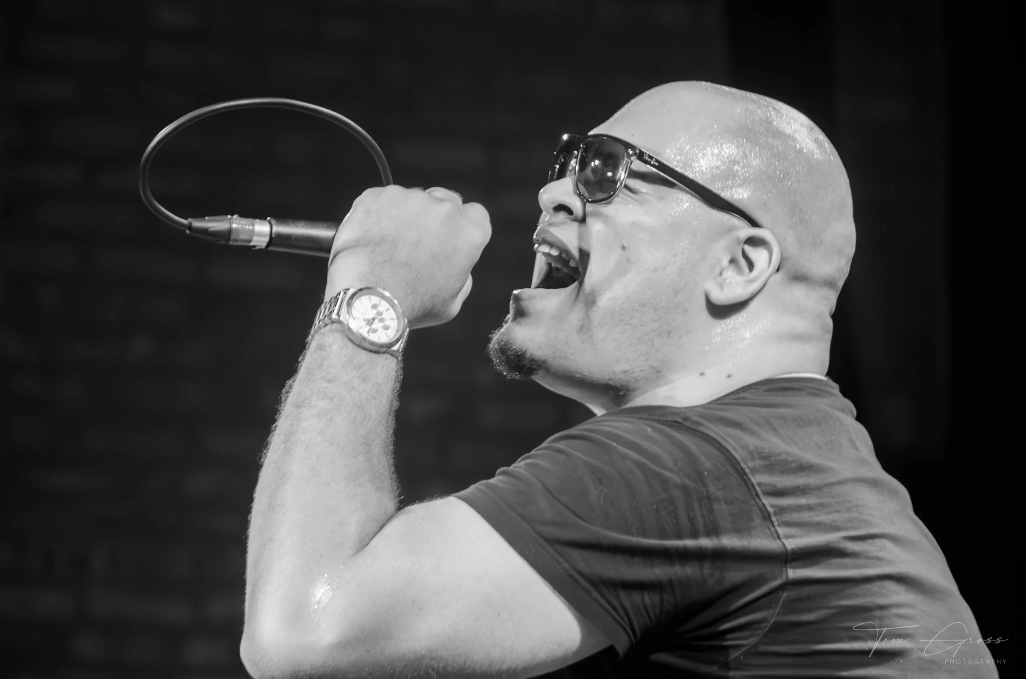 TGPS_2015 - Daves Tribute Gig (443)-Enhanced-NR.JPG