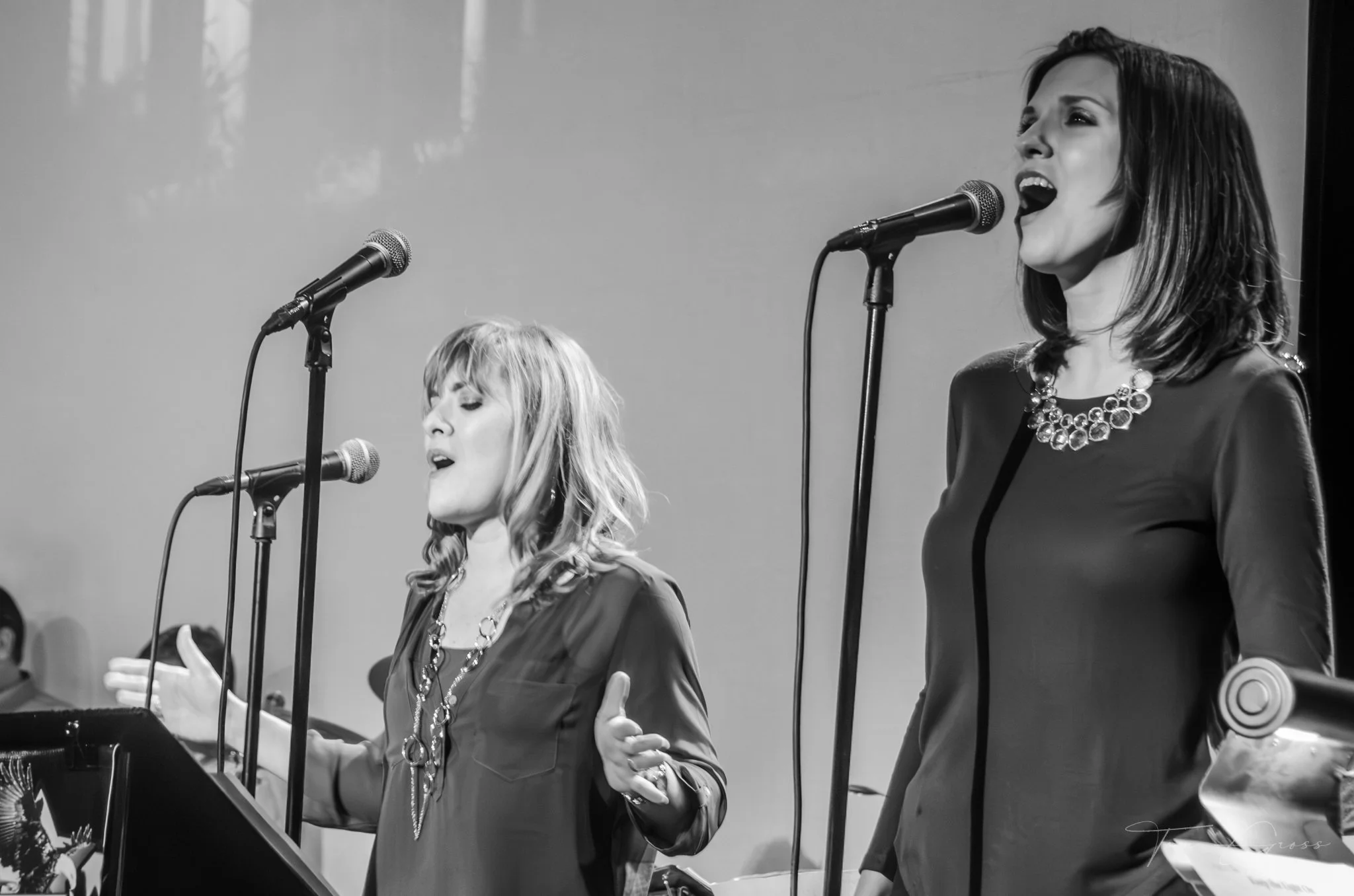 TGPS_2015 - Daves Tribute Gig (448)-Enhanced-NR.JPG