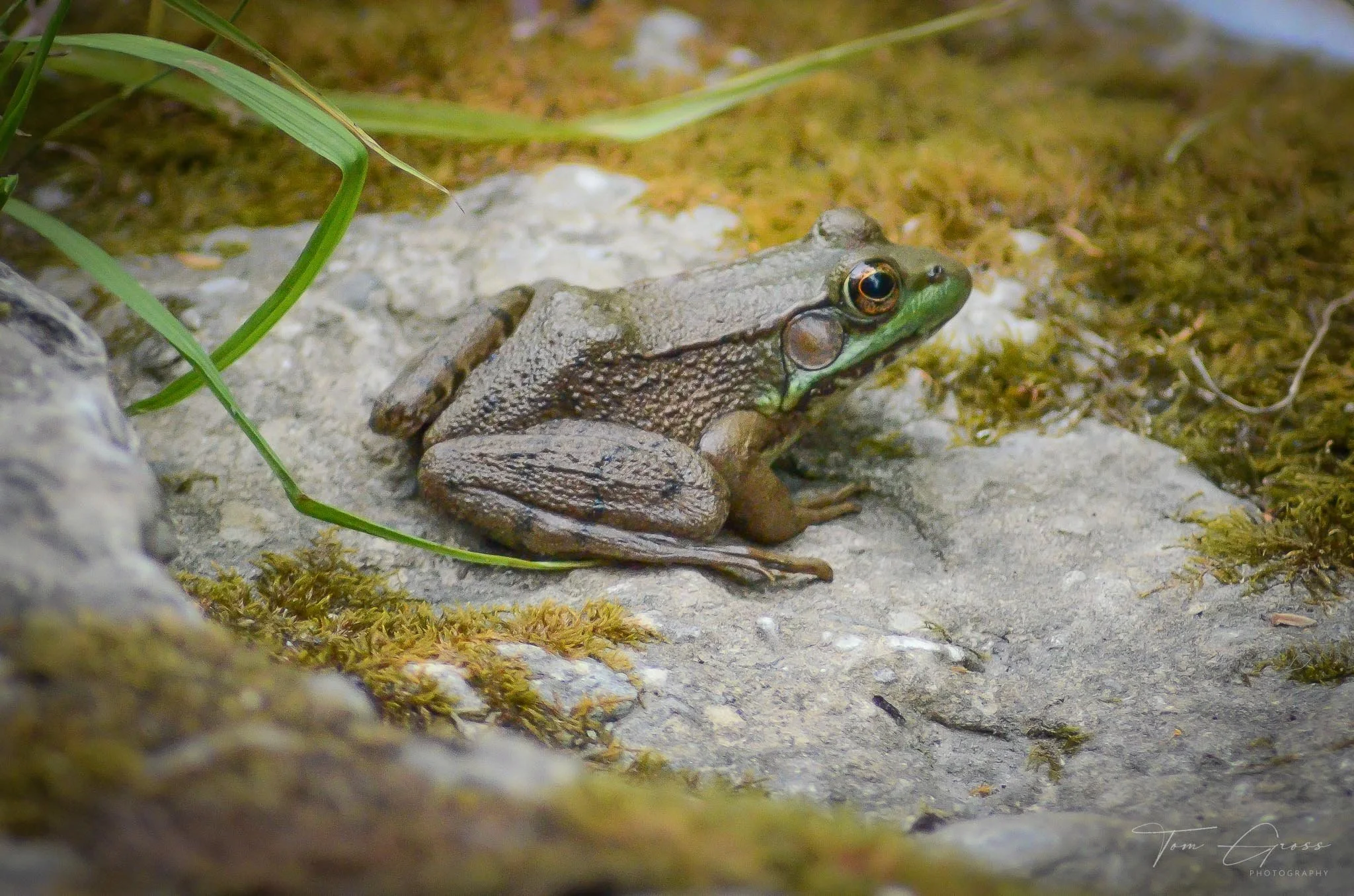 TGPS_Canada 2012-3 (856).JPG