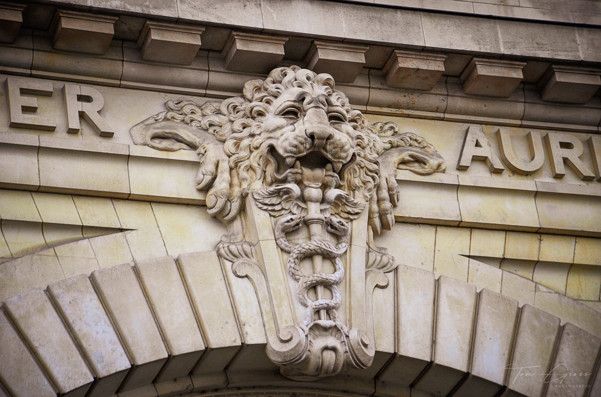 TGP40_2014 France BLF - 7624.JPG