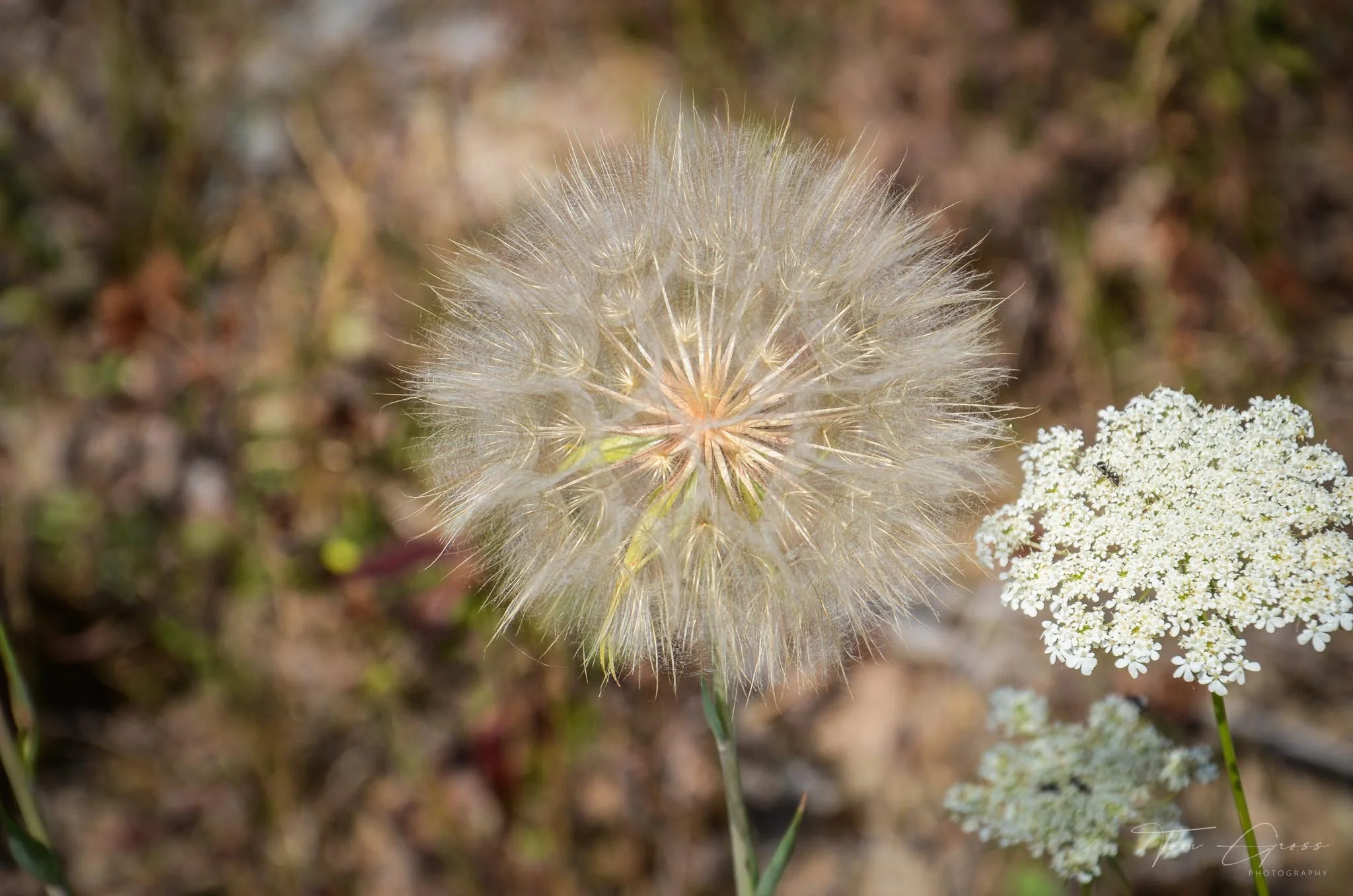 TGPS_Canada 2012-3 (1549).JPG