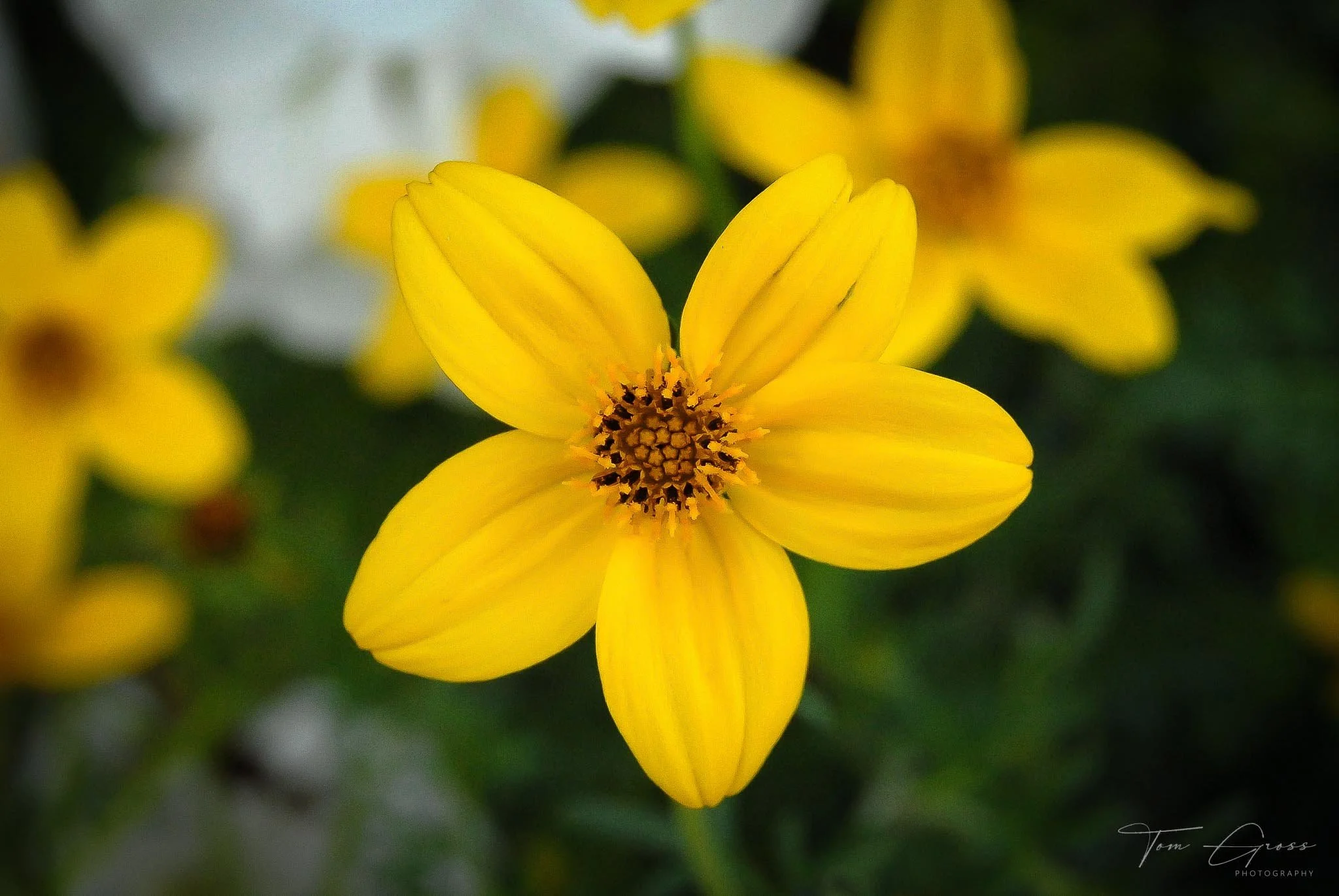 TGPS_Canada 2006 - DVD1 (805).JPG