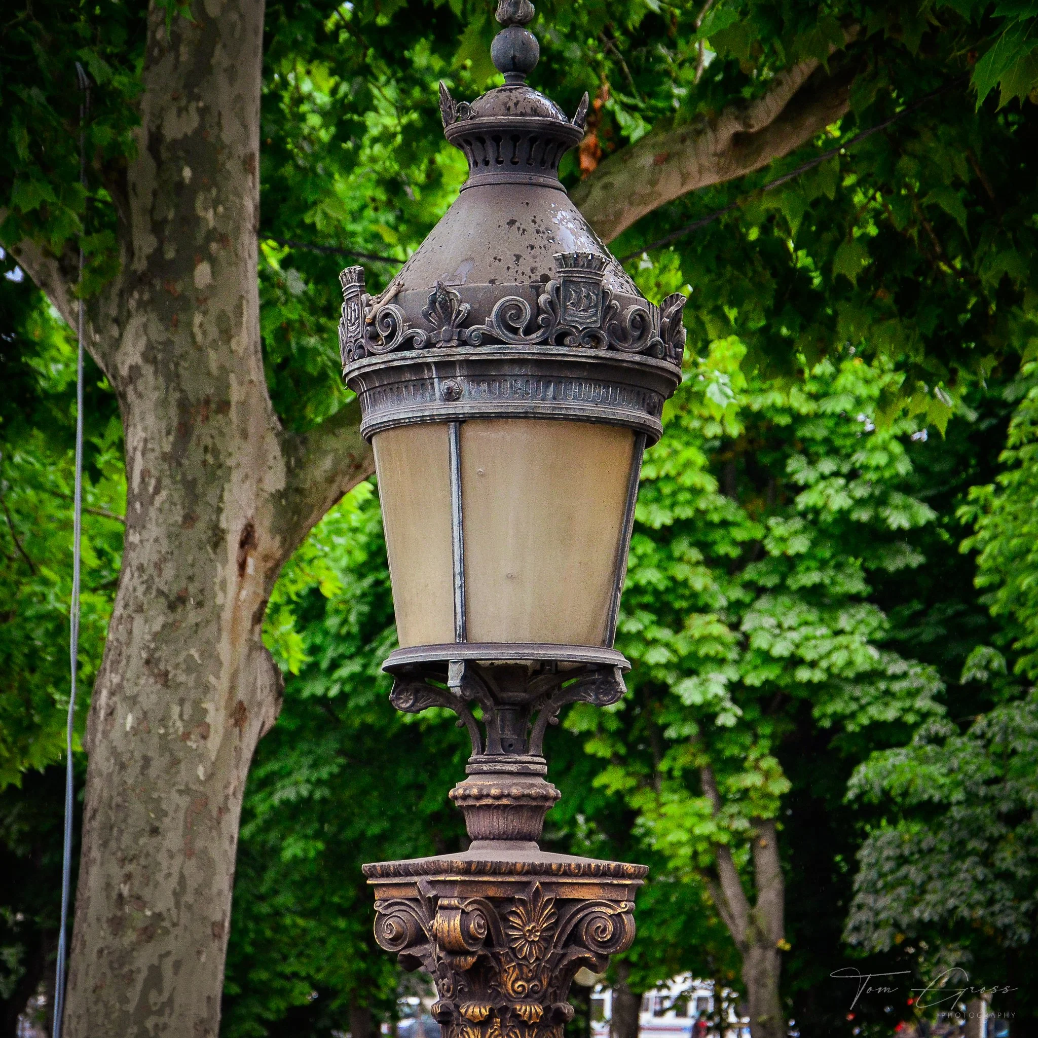 TGP40_2014 France BLF - 7740.JPG