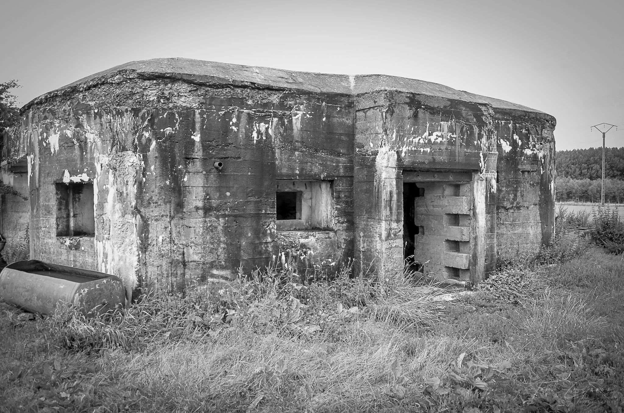 TGP40_2014 France BLF - 8618.JPG