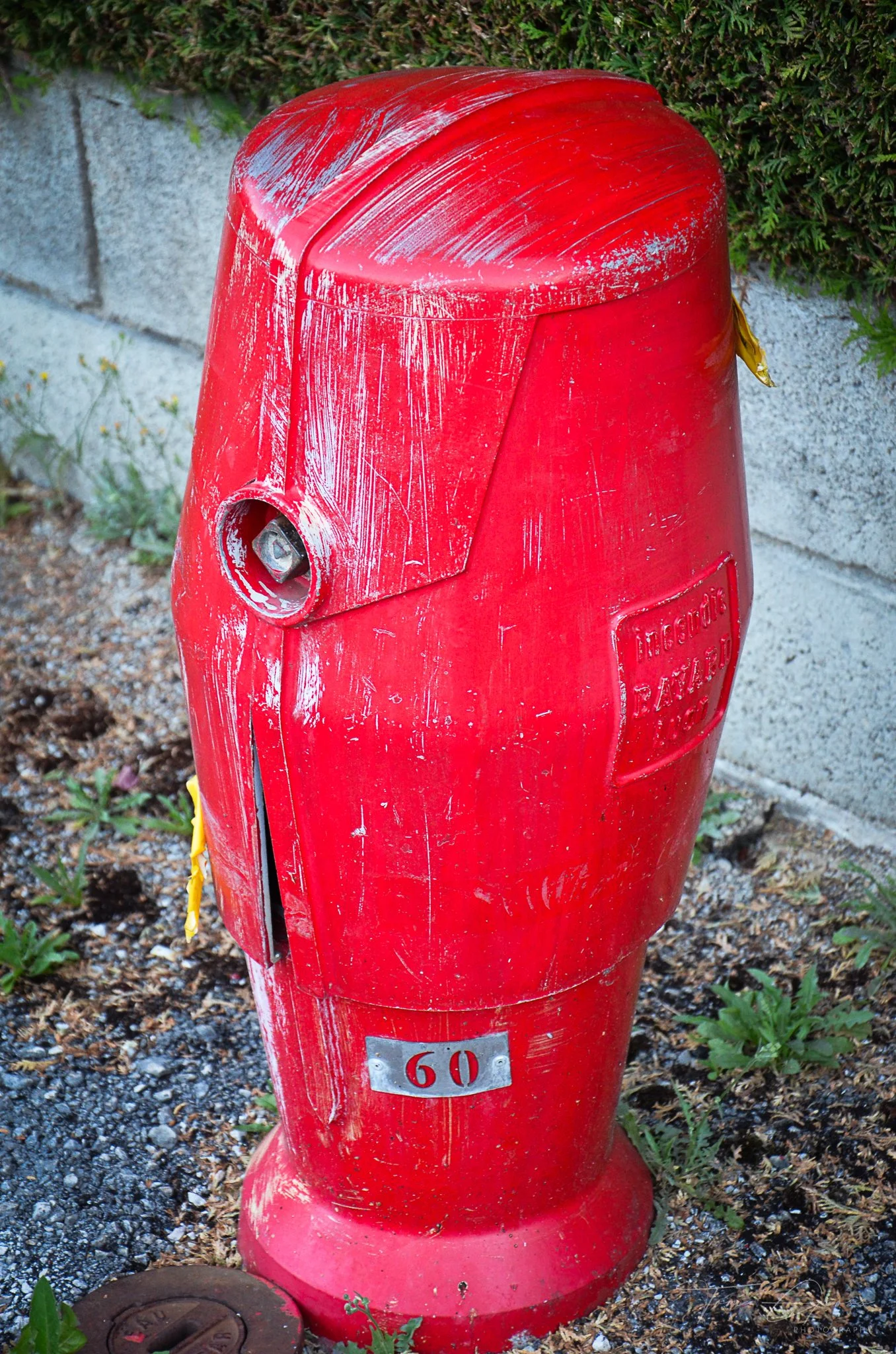 TGP40_2014 France BLF - 5132.JPG