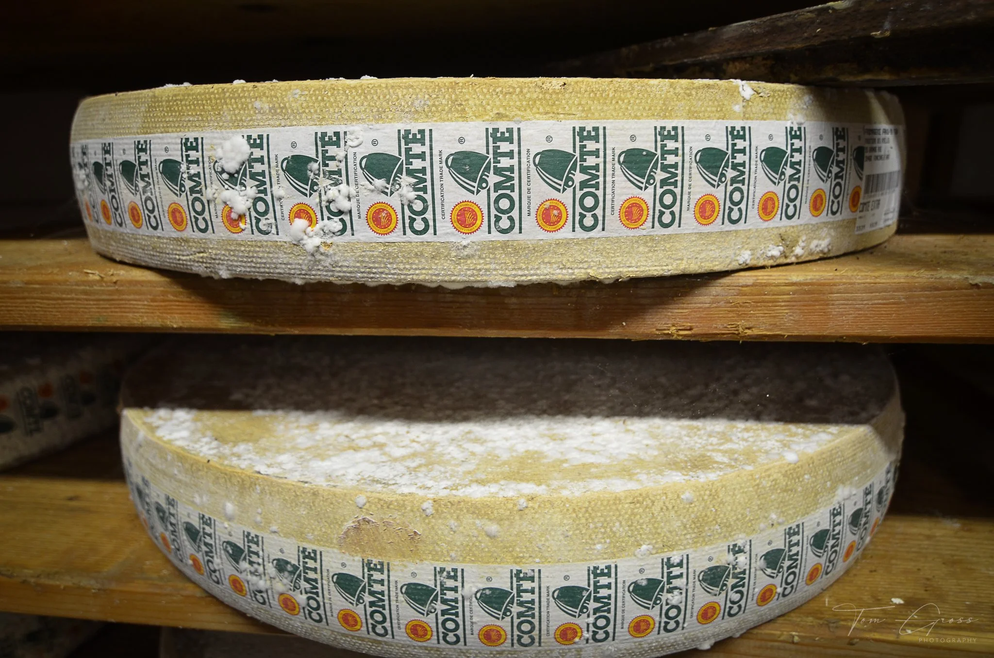 TGP40_2014 France BLF - 5450.JPG