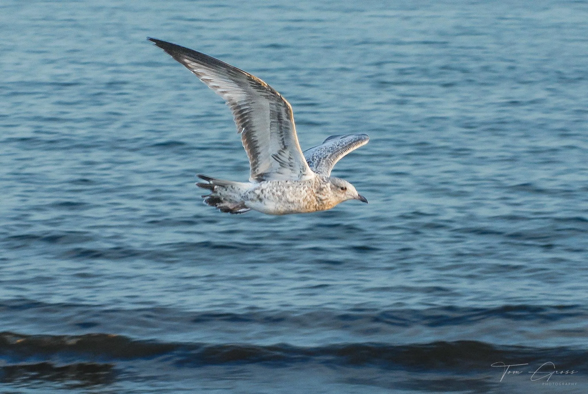 TGPS_Canada 2006 - DVD2 (1152).JPG