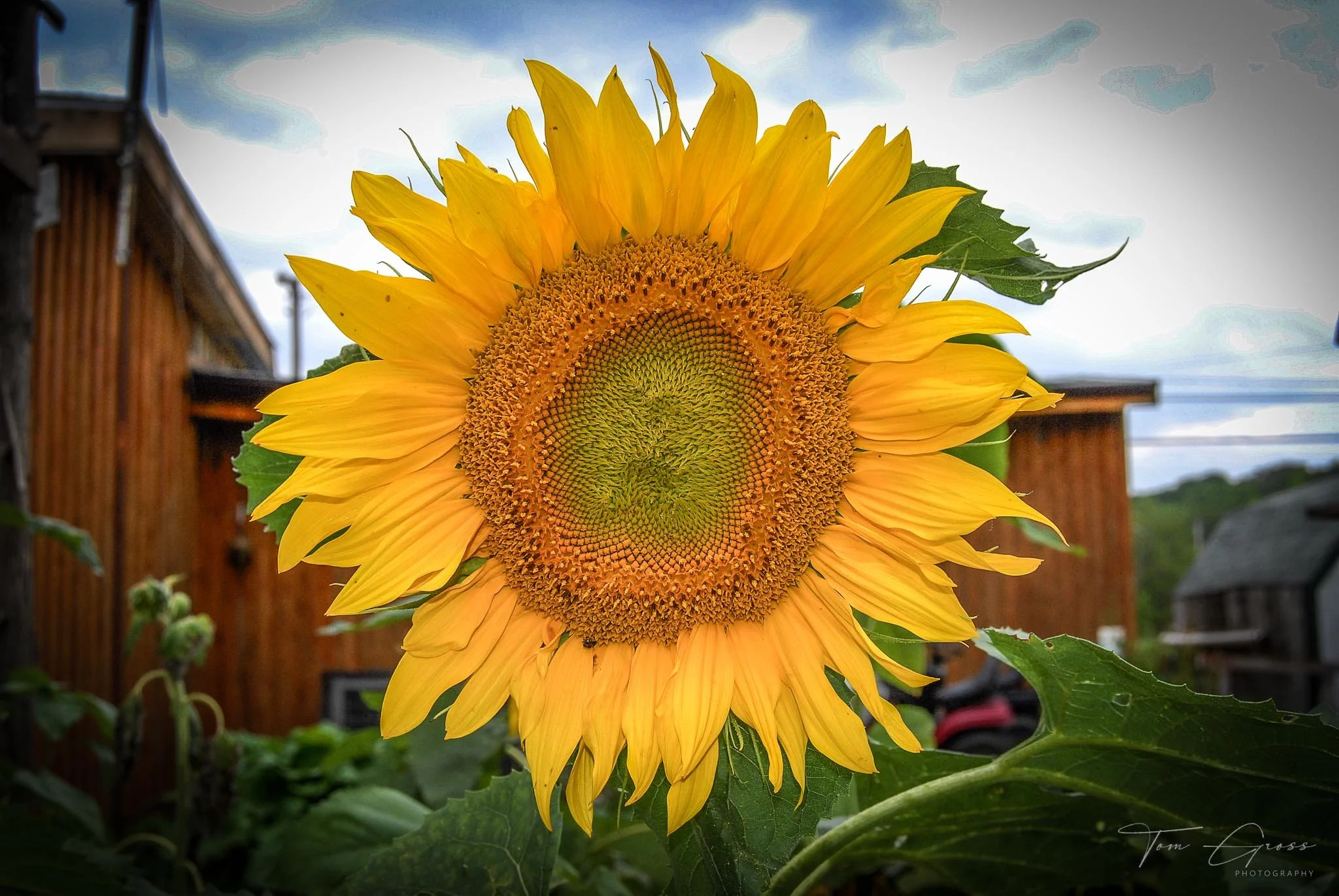 TGPS_Canada 2006 - DVD2 (309).JPG