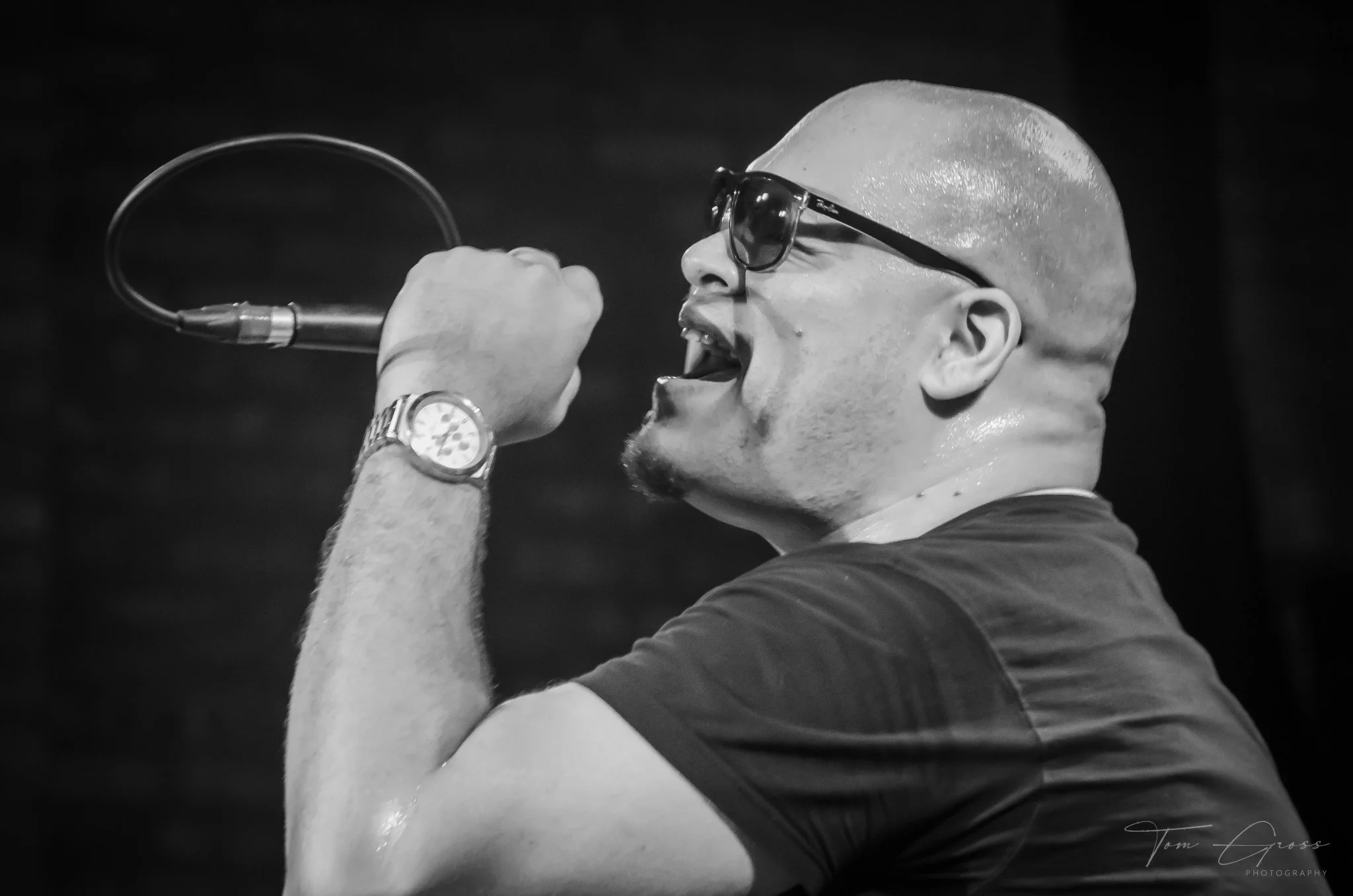 TGPS_2015 - Daves Tribute Gig (444).JPG