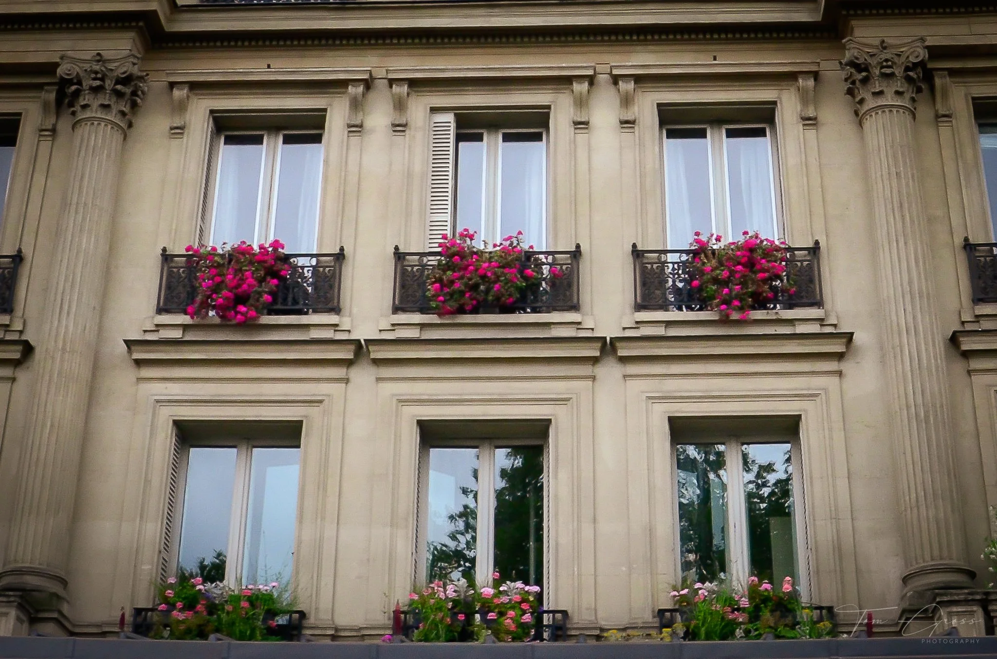 TGP40_2014 France BLF - 7631.JPG