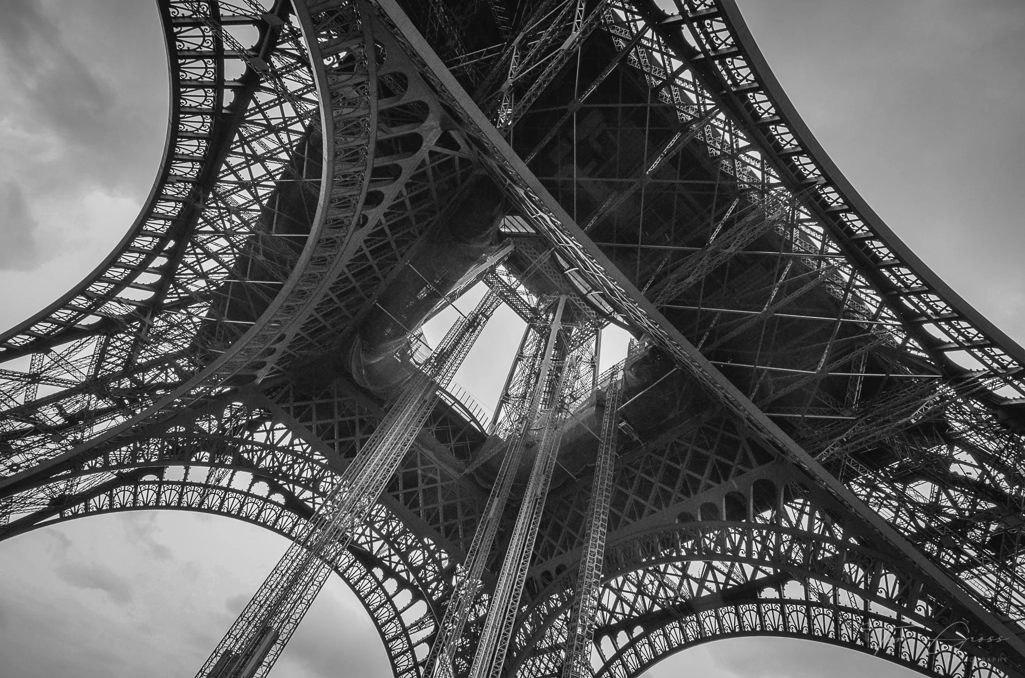 TGP40_2014 France BLF - 7888.JPG