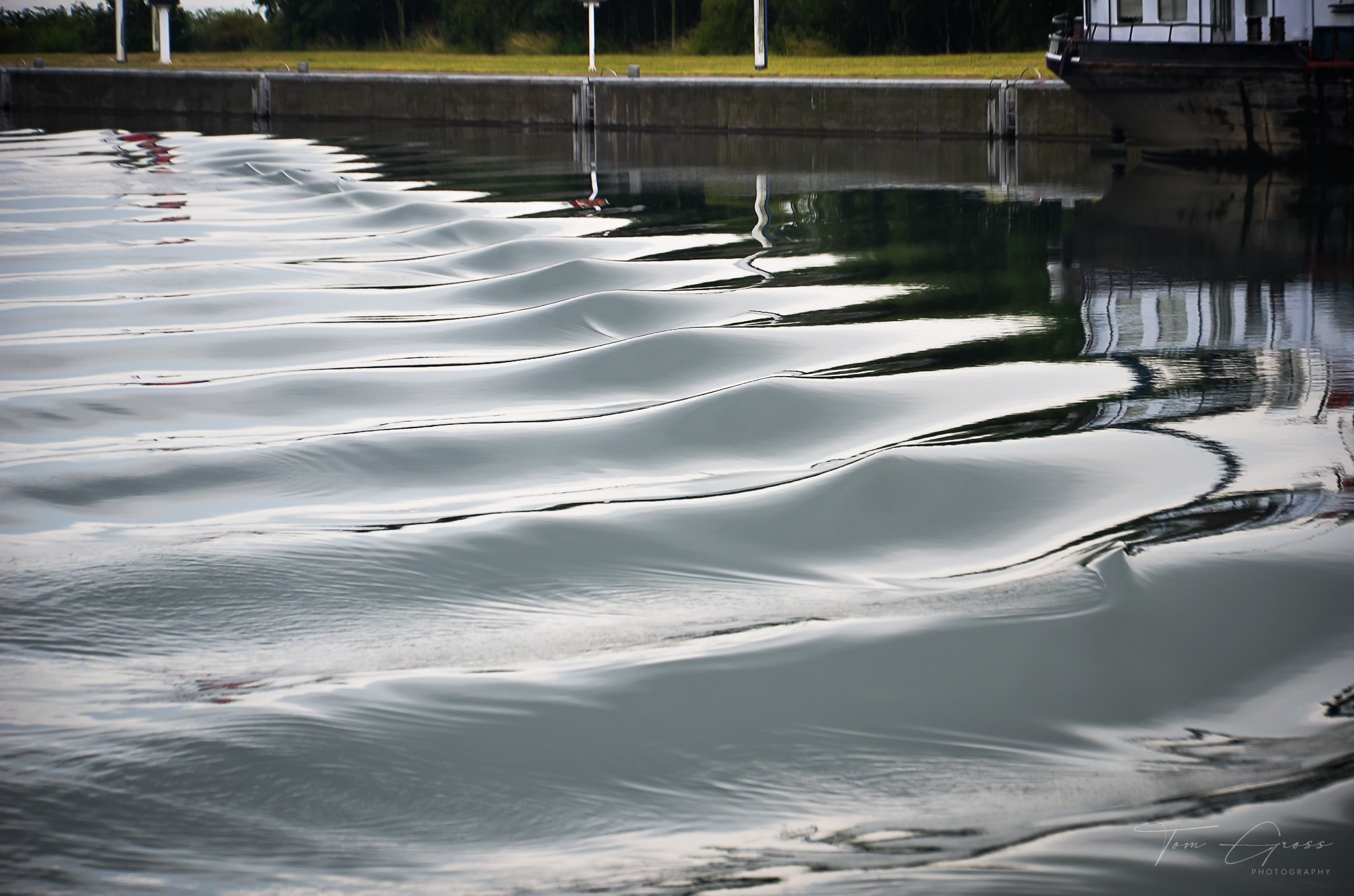 TGP40_2014 France BLF - 8573.JPG