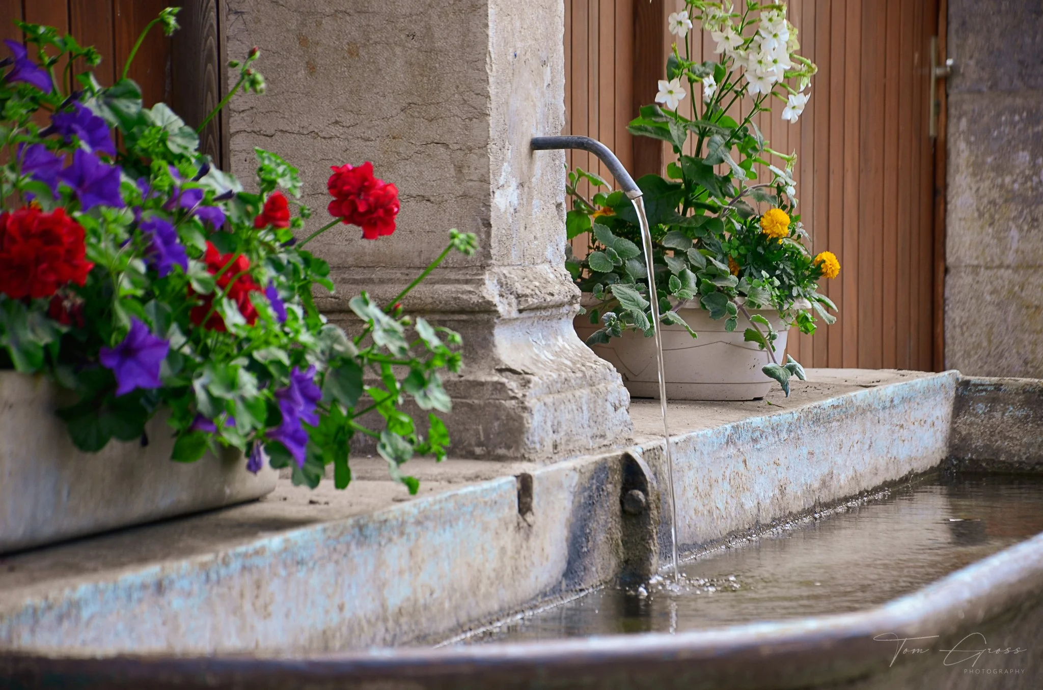 TGP40_2014 France BLF - 6096.JPG