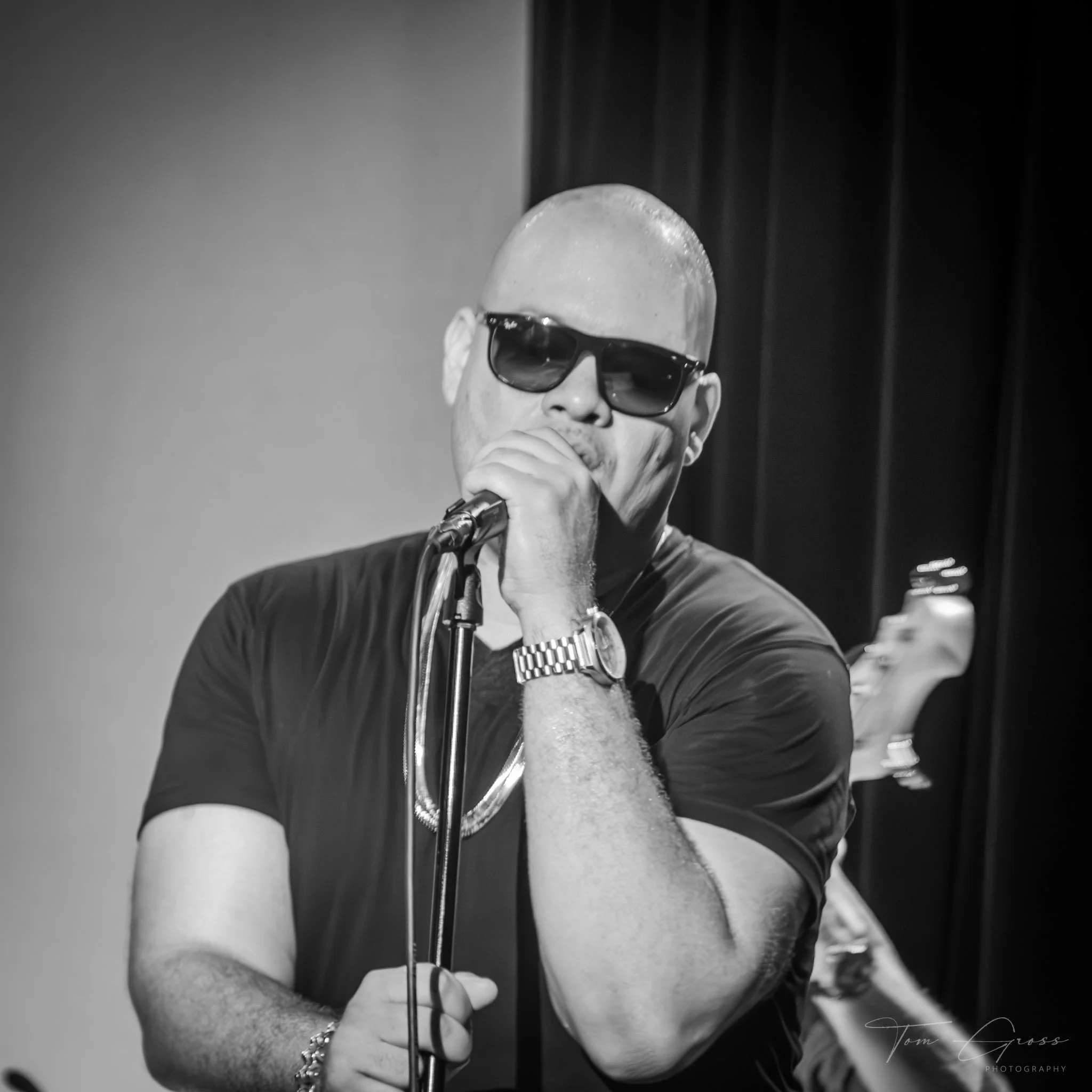 TGPS_2015 - Daves Tribute Gig (360)-Enhanced-NR.JPG