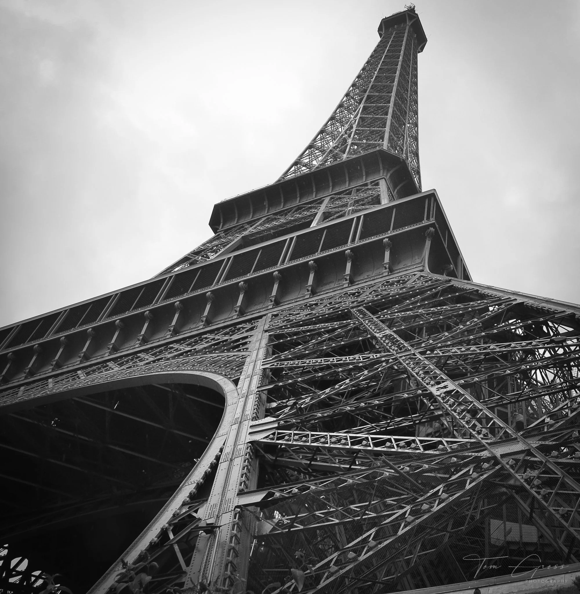 TGP40_2014 France BLF - 7877.JPG