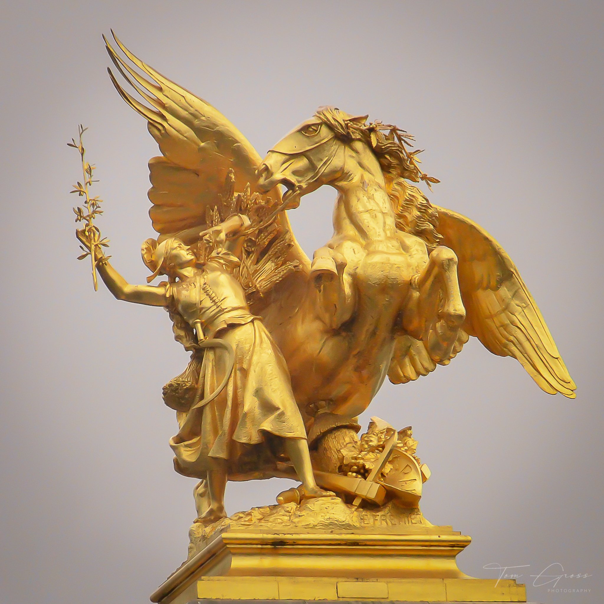 TGP40_2014 France BLF - 7746.JPG