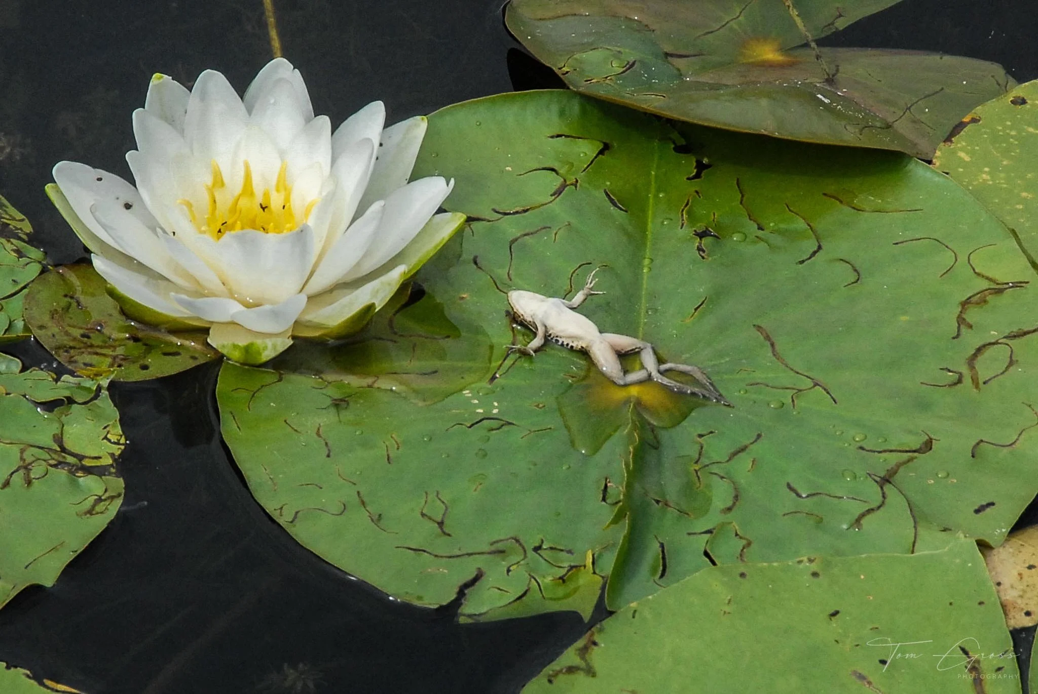 TGPS_0615 - Canada07_TuePM_0041.JPG