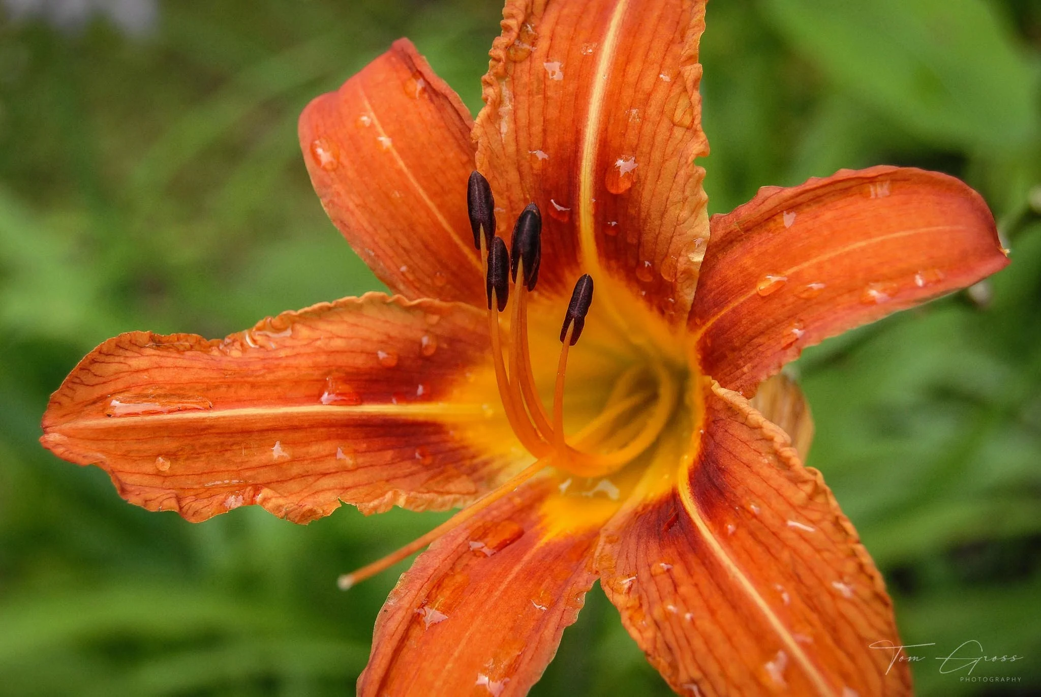 TGPS_Canada 2006 - DVD2 (291).JPG