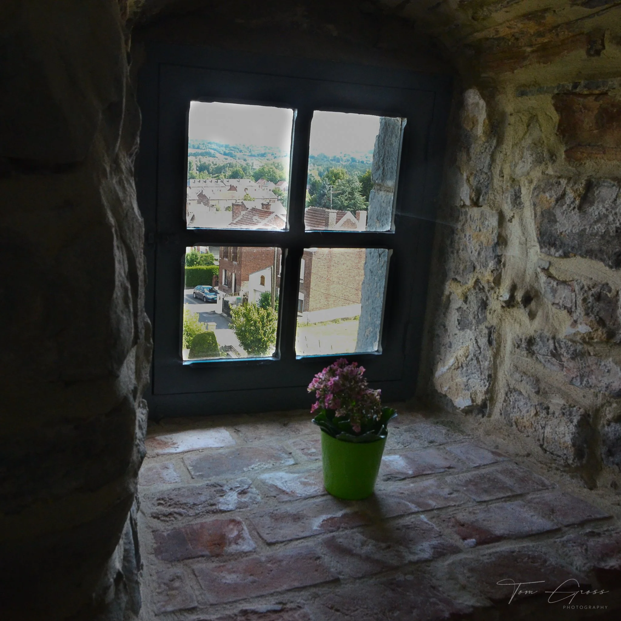 TGP40_2014 France BLF - 6674.JPG