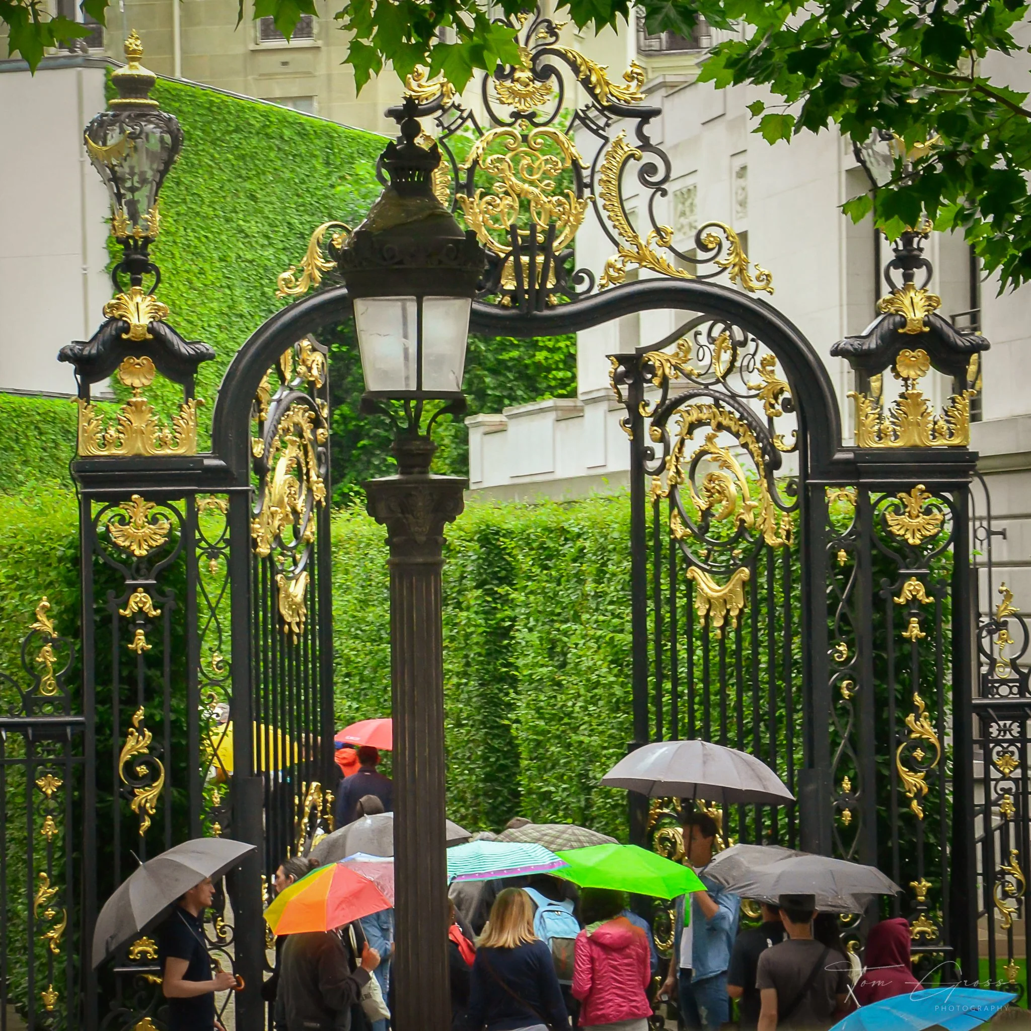 TGP40_2014 France BLF - 7738.JPG