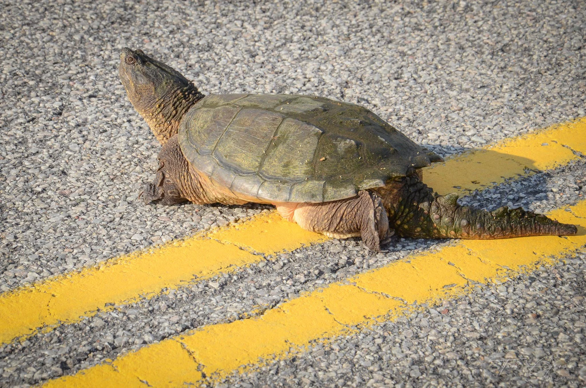 TGPS_Canada 2012-3 (370).JPG