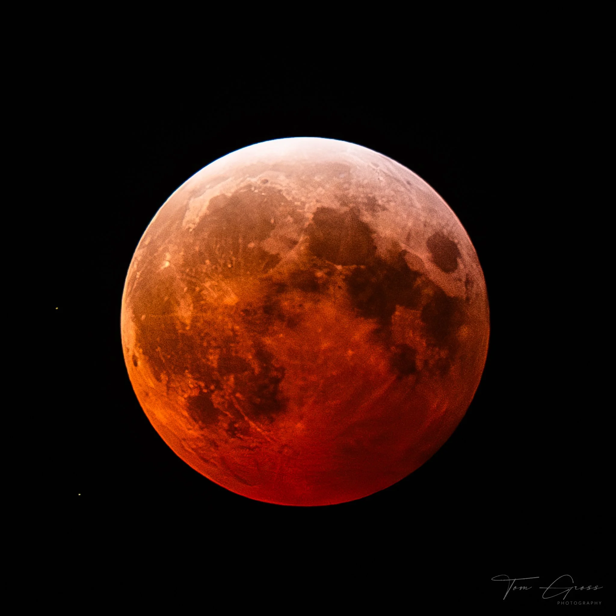 Lunar Eclipse 2025-03-14 (Carol Stream, Illinois)
