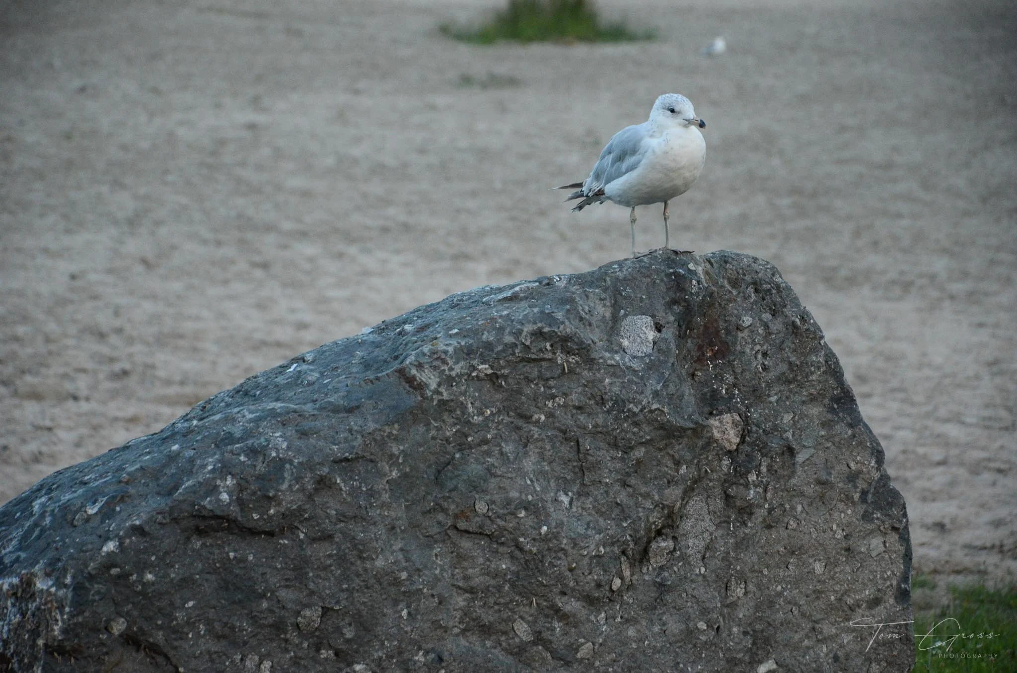 TGPS_Canada 2012-2 (332).JPG