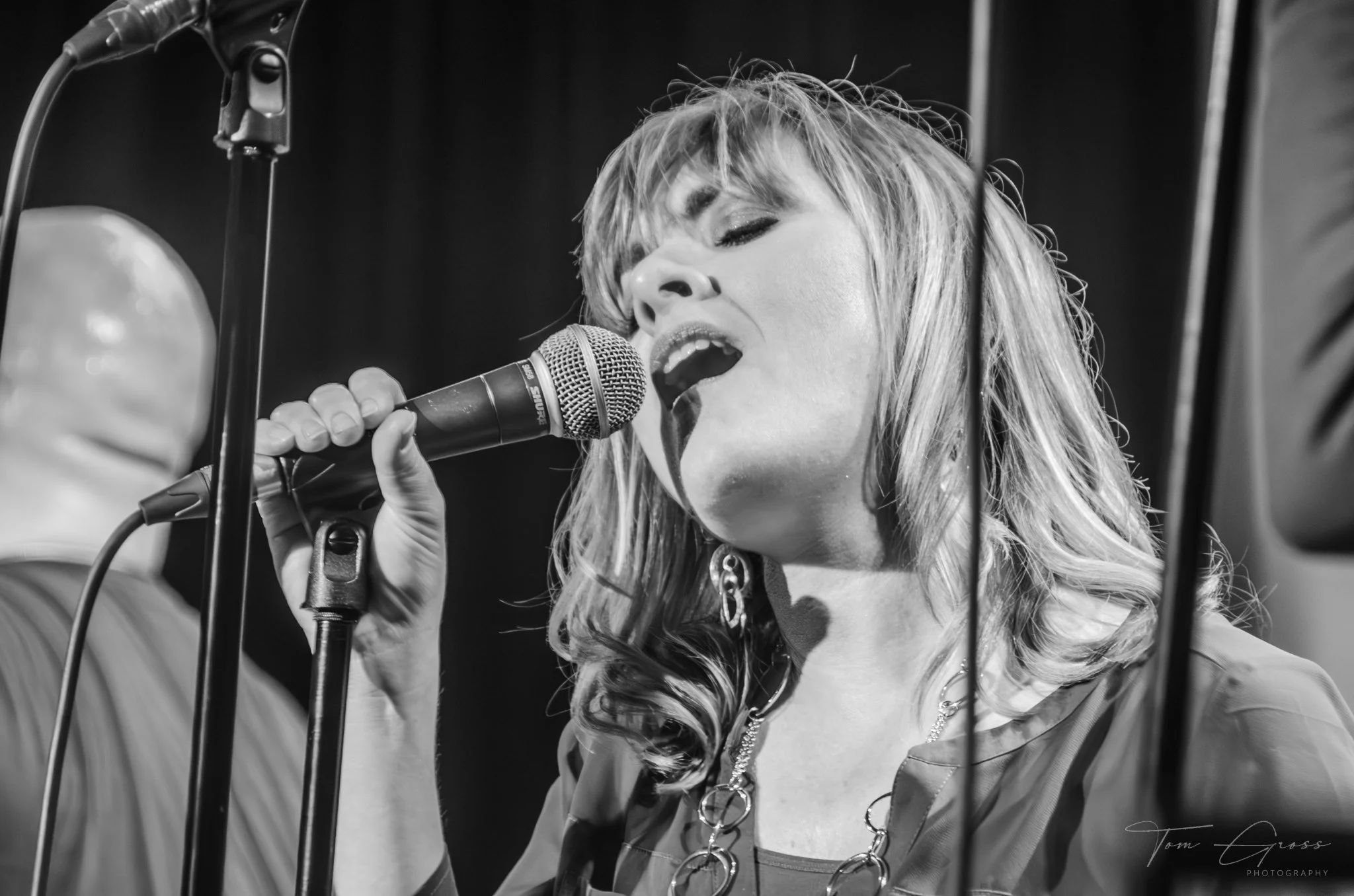 TGPS_2015 - Daves Tribute Gig (447)-Enhanced-NR.JPG