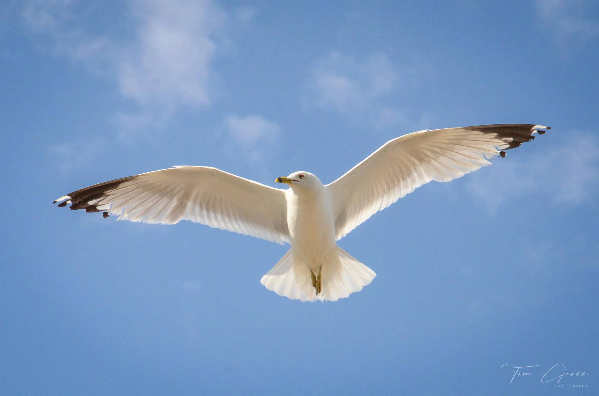 TGPS_Canada 2012-2 (26).JPG