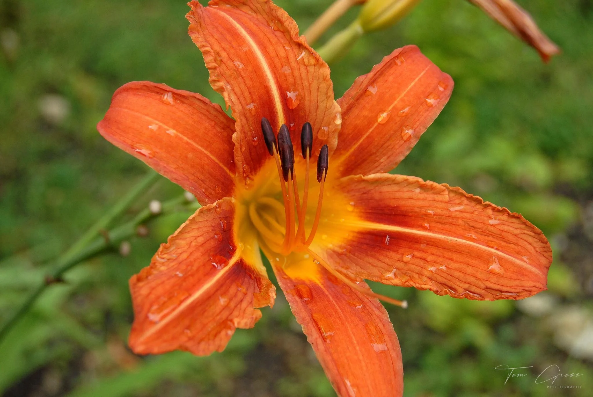 TGPS_Canada 2006 - DVD2 (294).JPG