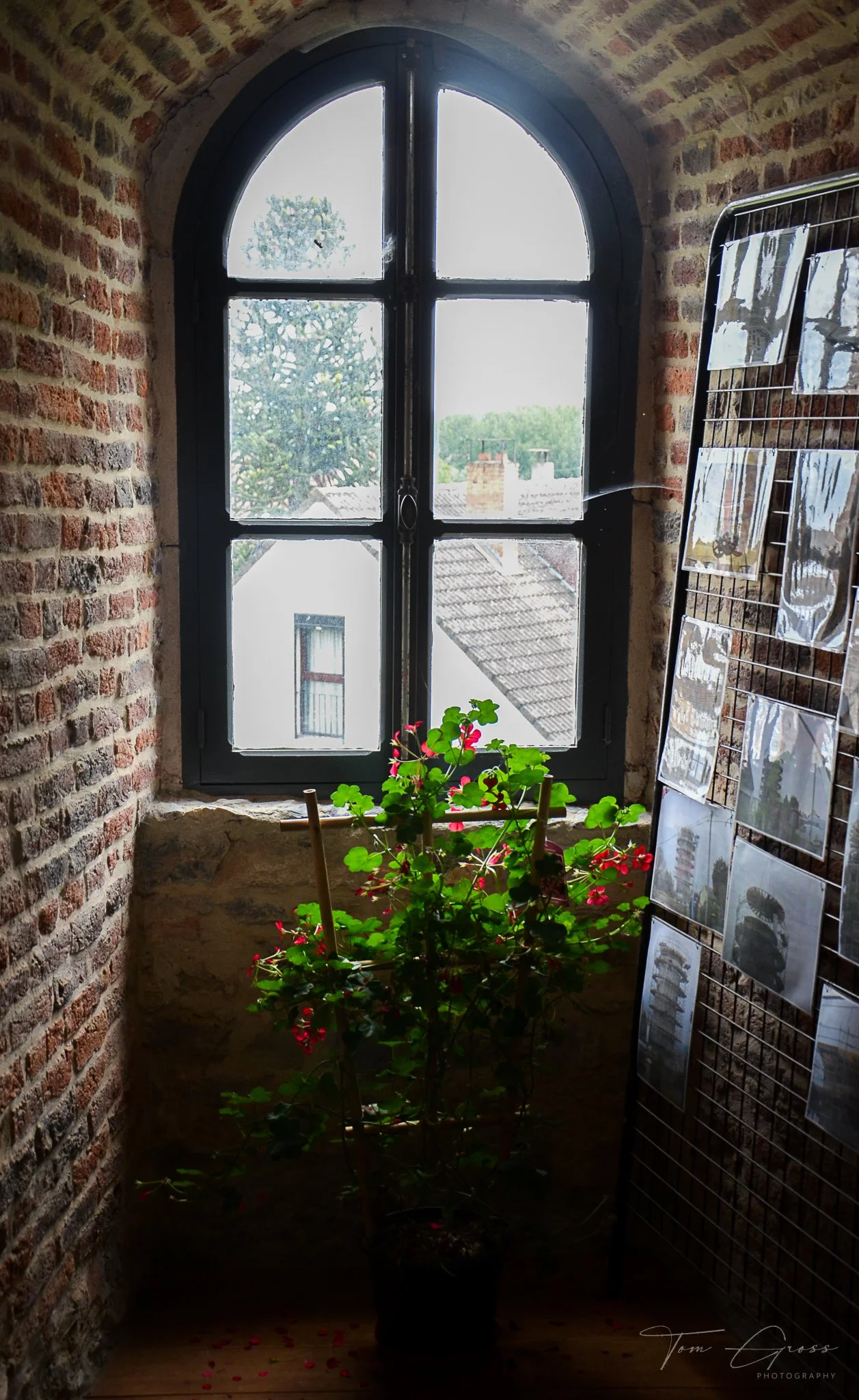 TGP40_2014 France BLF - 4561.JPG