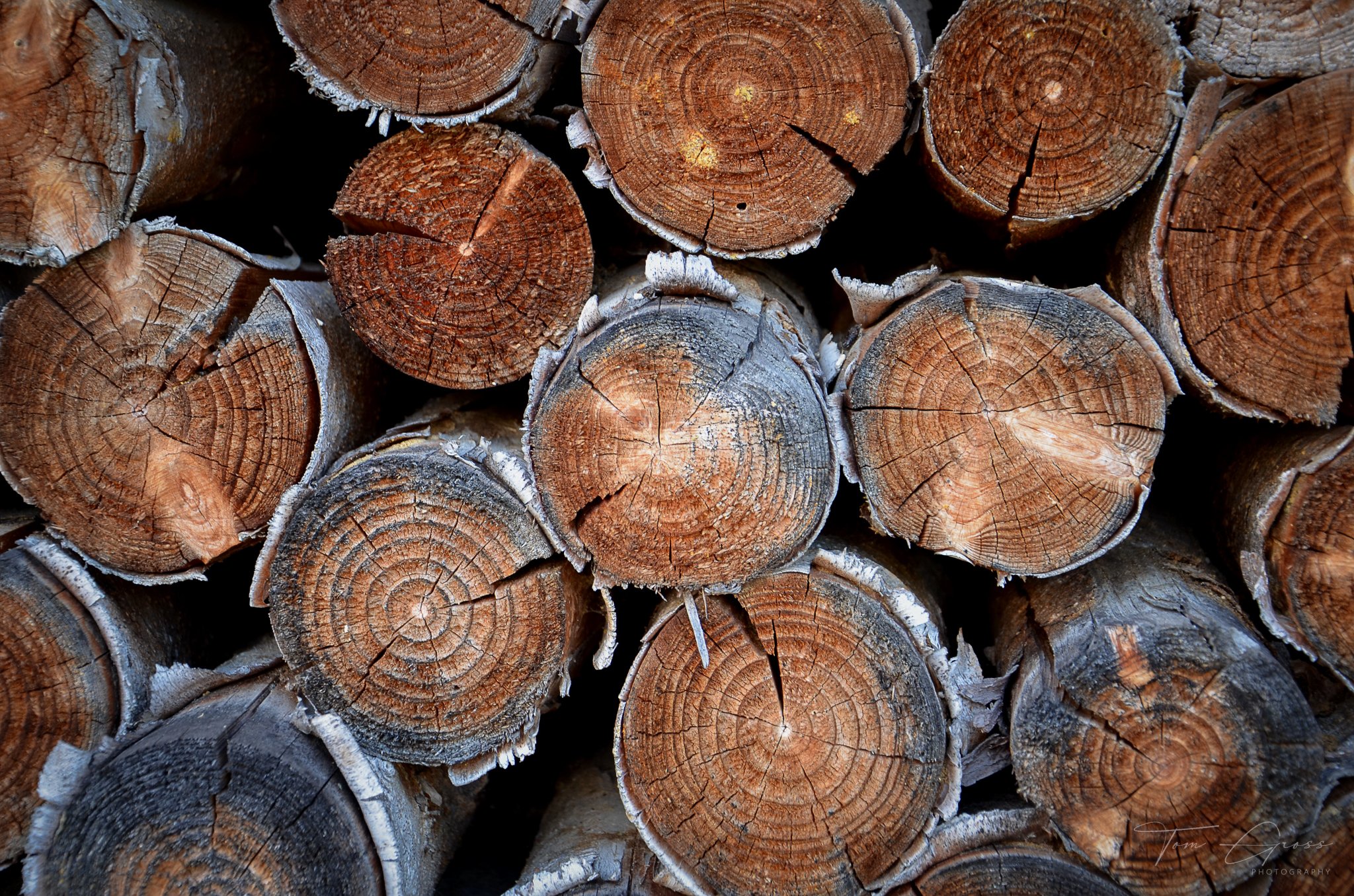 TGP40_2014 France BLF - 6073.JPG