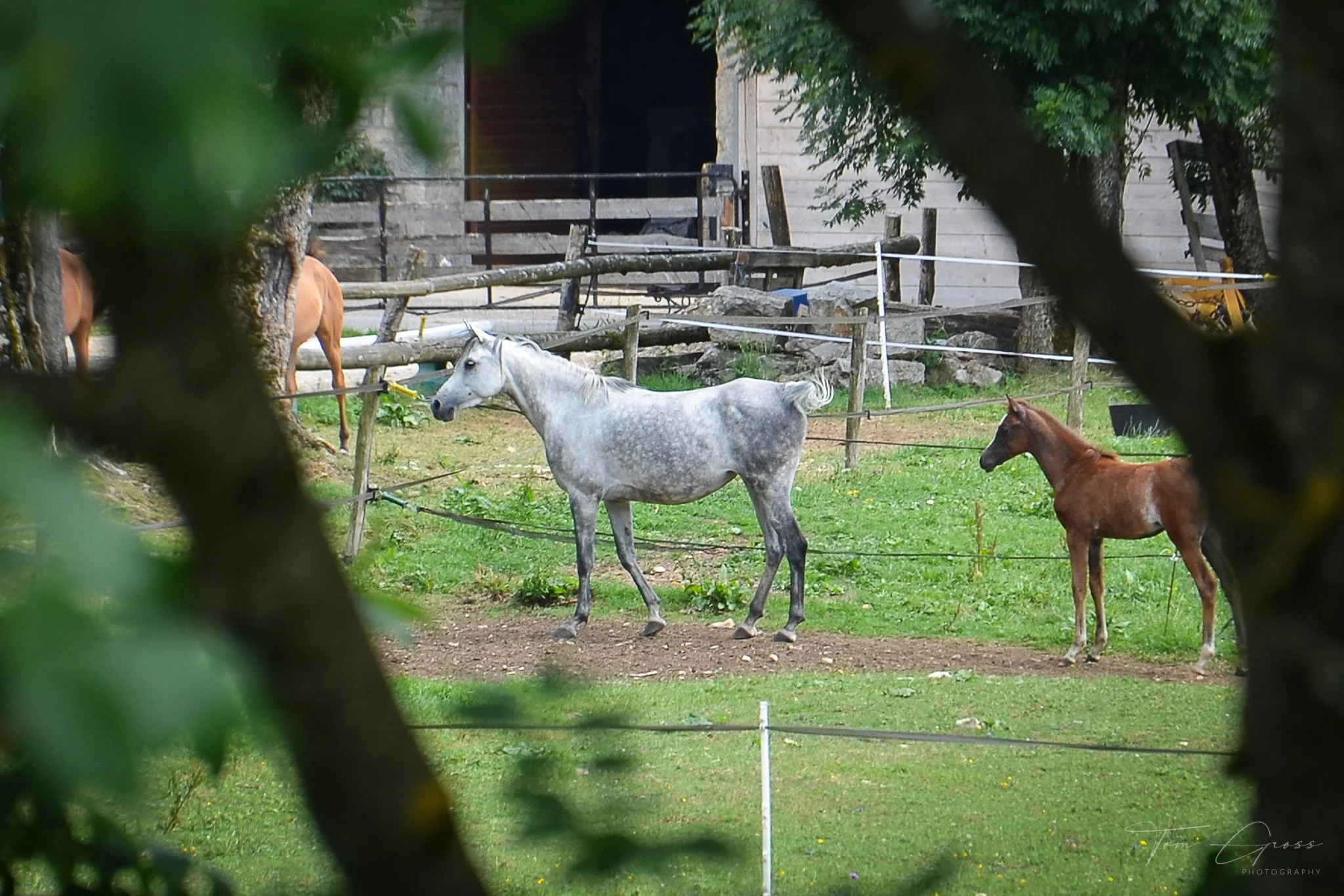 TGP40_2014 France BLF - 5857.JPG