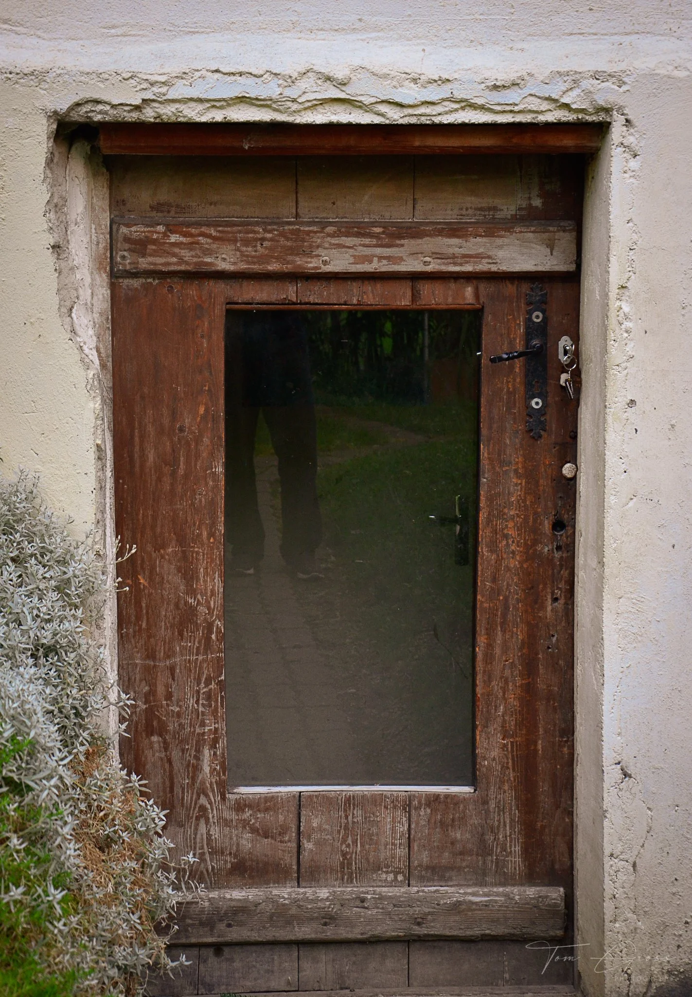 TGP40_2014 France BLF - 6251.JPG