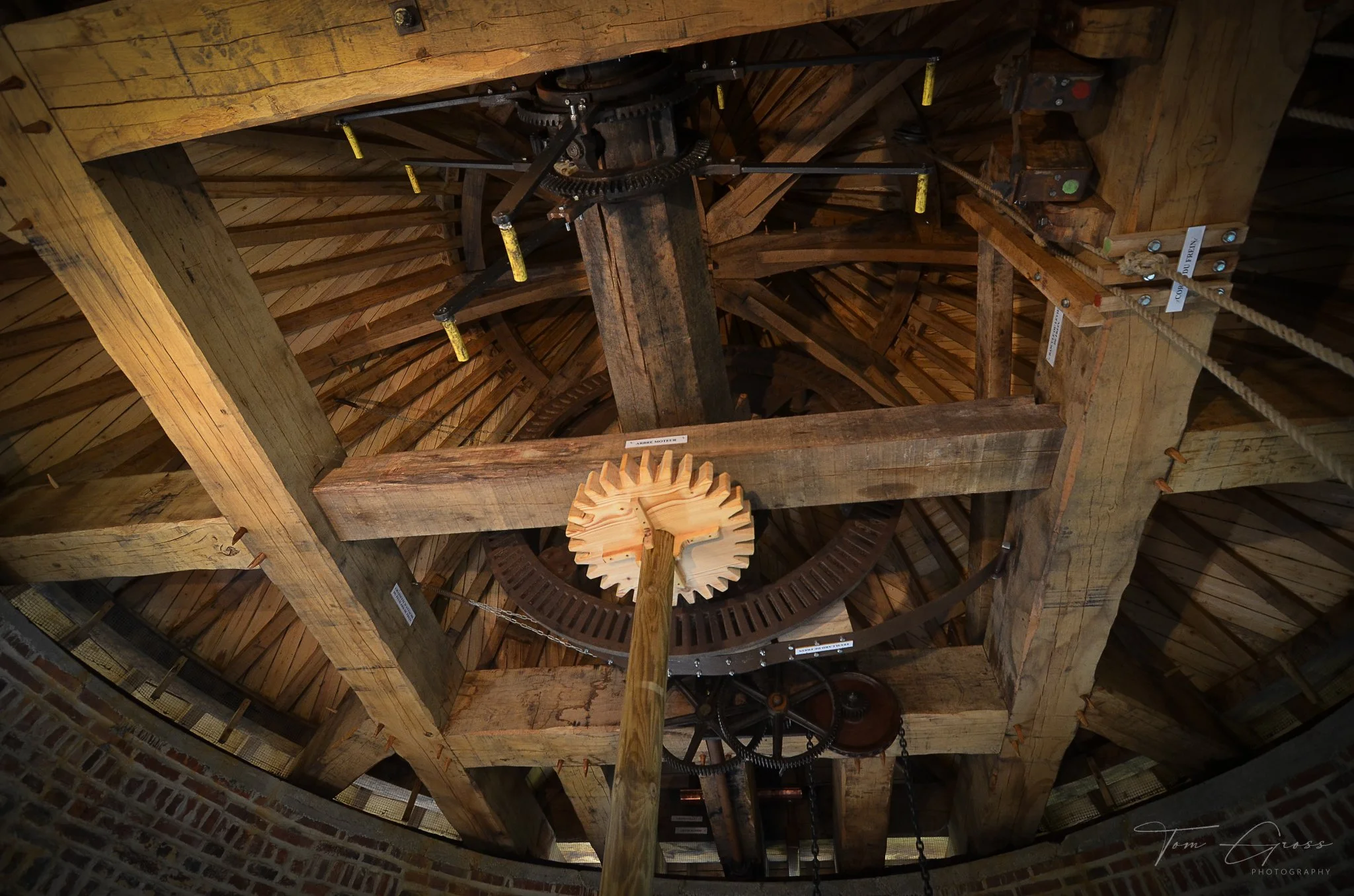 TGP40_2014 France BLF - 6650.JPG