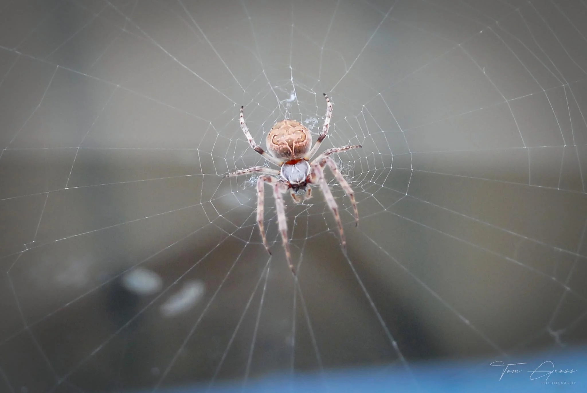 TGPS_Canada 2006 - DVD2 (1493).JPG