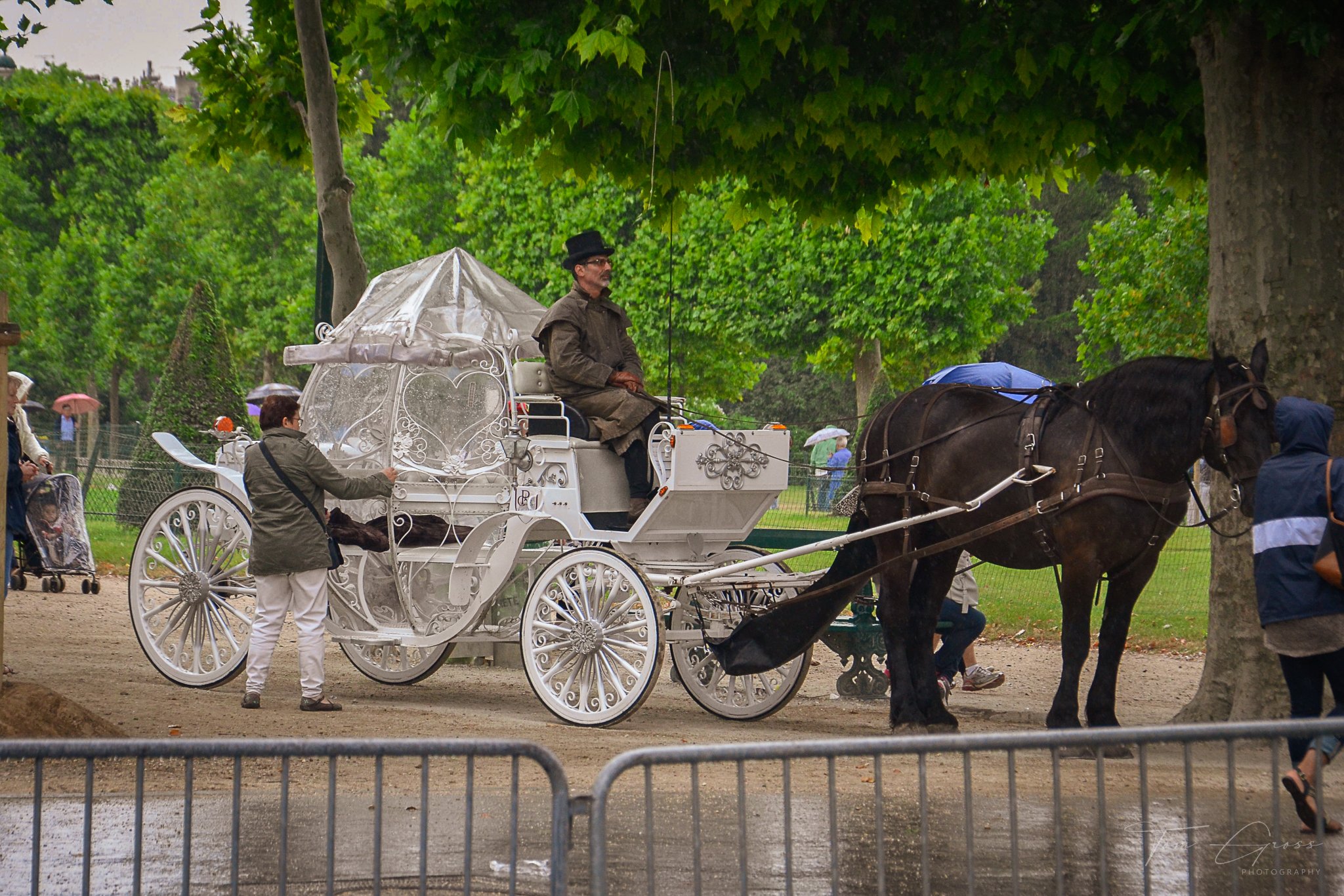 TGP40_2014 France BLF - 7879.JPG